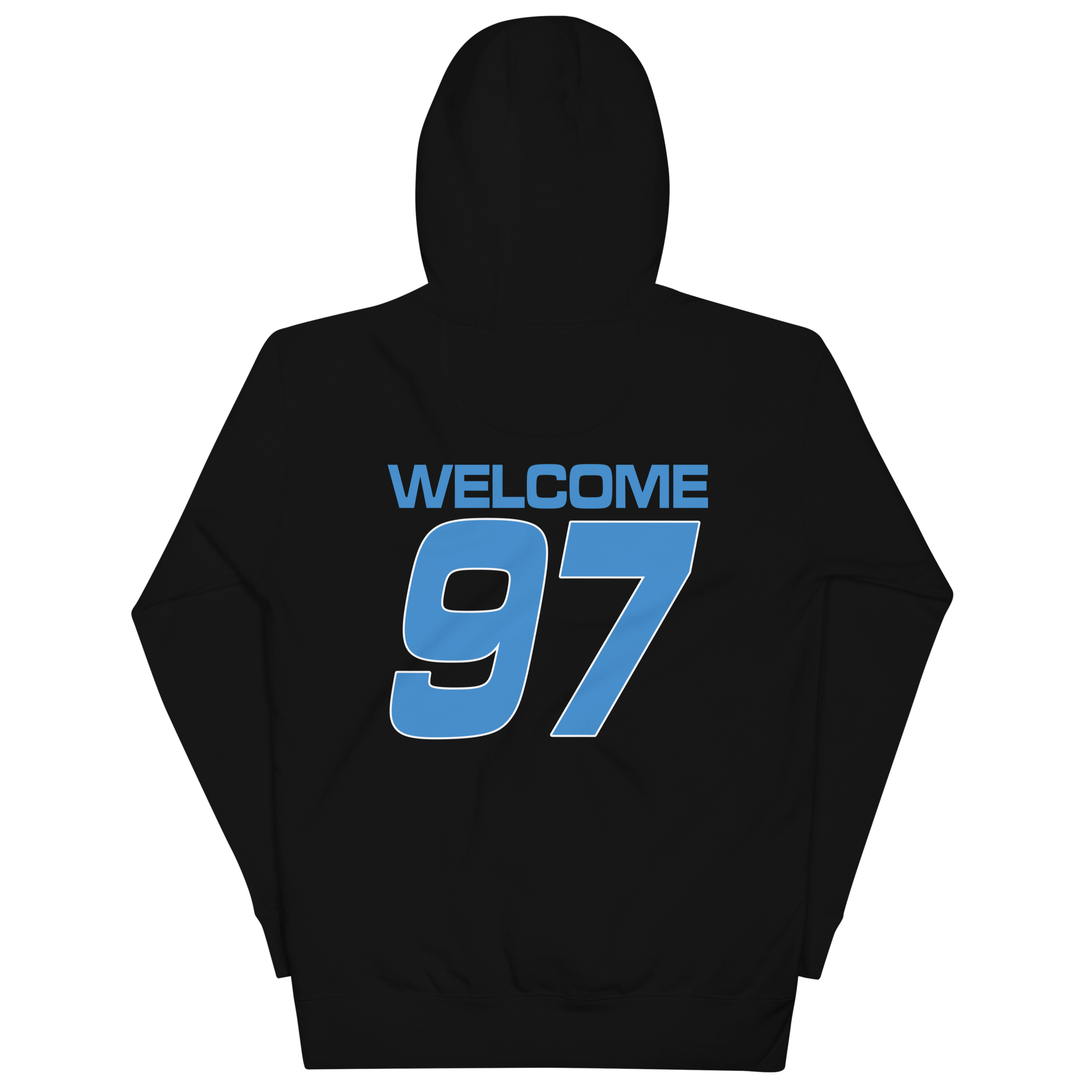 unisex-premium-hoodie-black-back-66fdcd05c3c7c.png