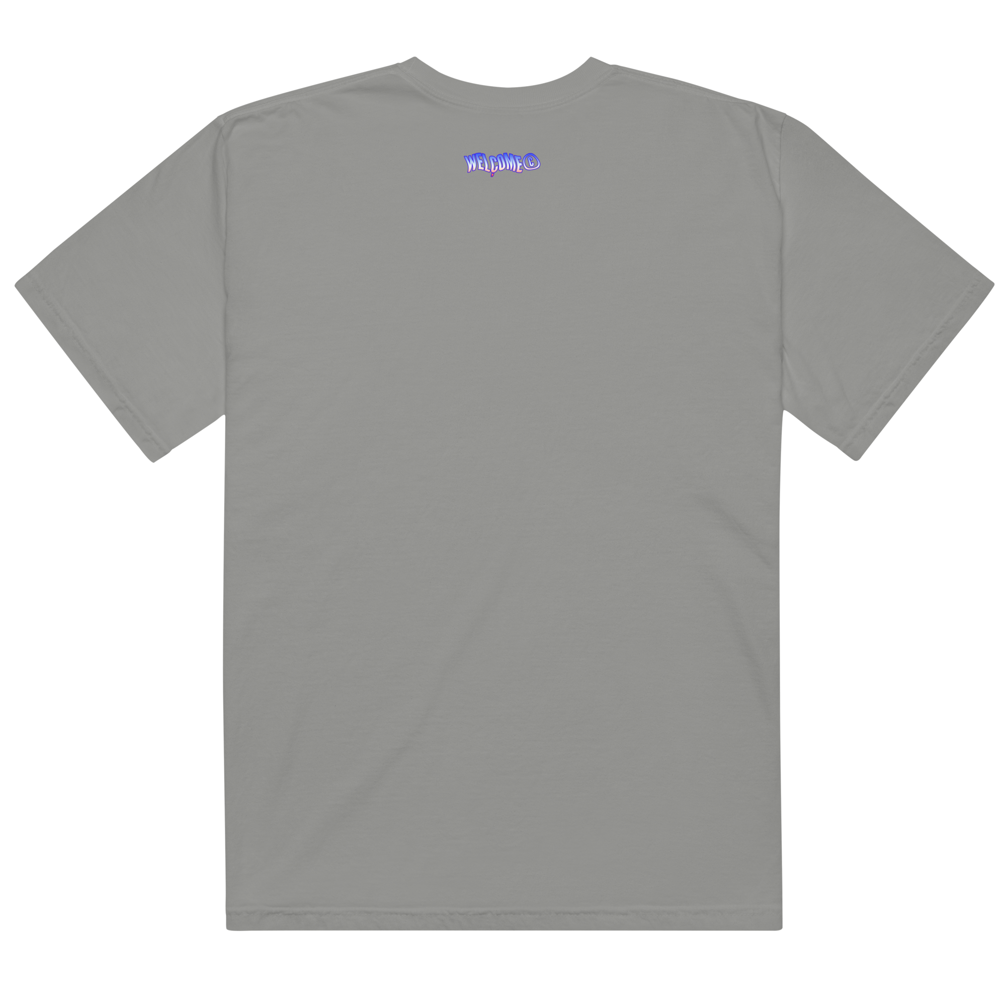 unisex-garment-dyed-heavyweight-t-shirt-grey-back-66b003e7a50ca.png