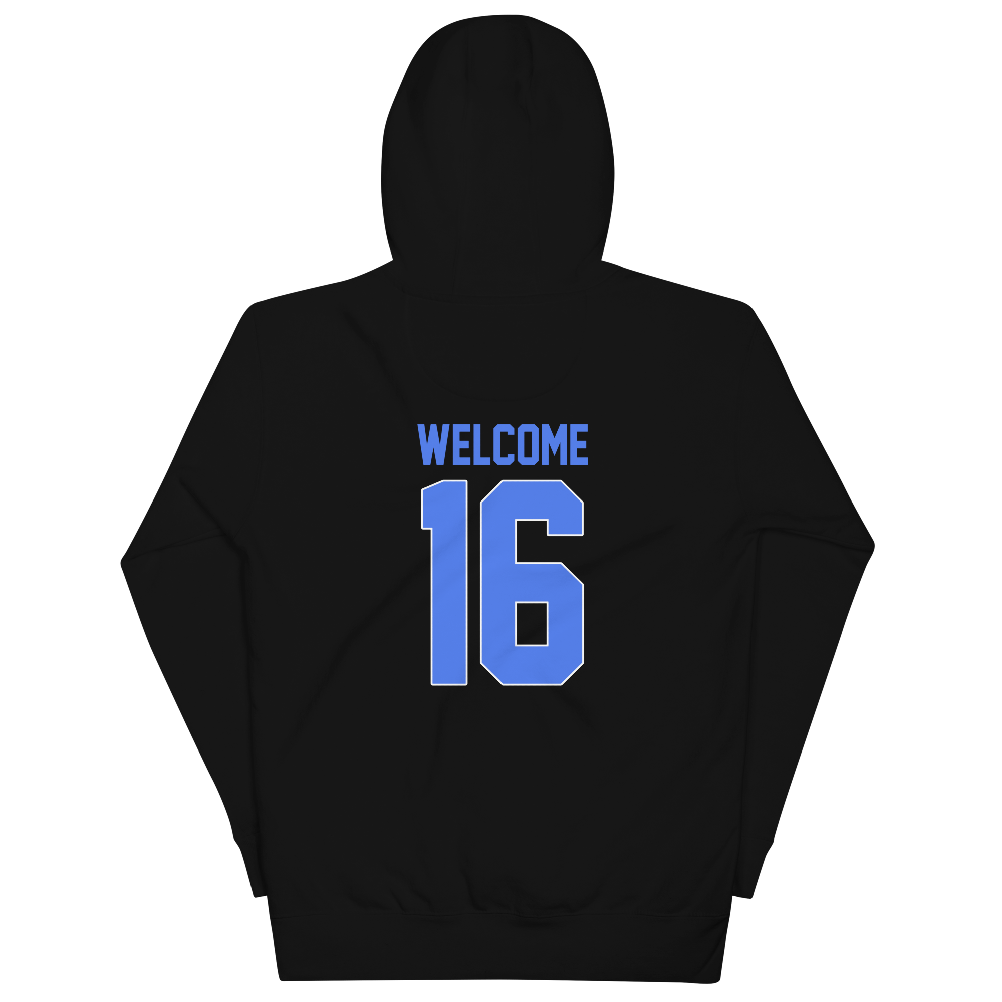 unisex-premium-hoodie-black-back-677353df92648.png