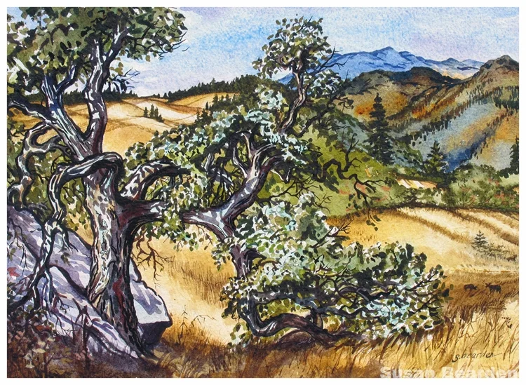 September on Bell Springs Road