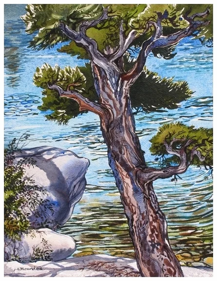 Susan Bearden - Tree at Pinecrest Lake