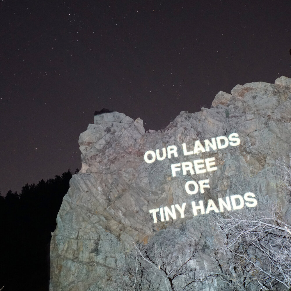 Tiny_Hands.jpg