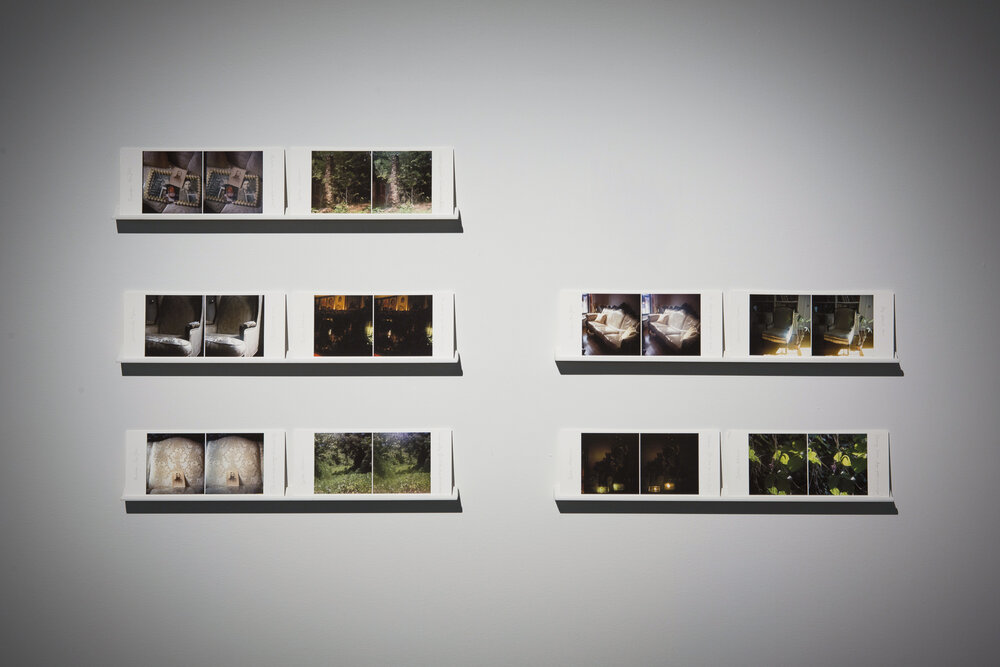 Untitled, Stereo Views (Opelika, AL, Charlottesville, VA, Brooklyn, NY) installation view.jpg