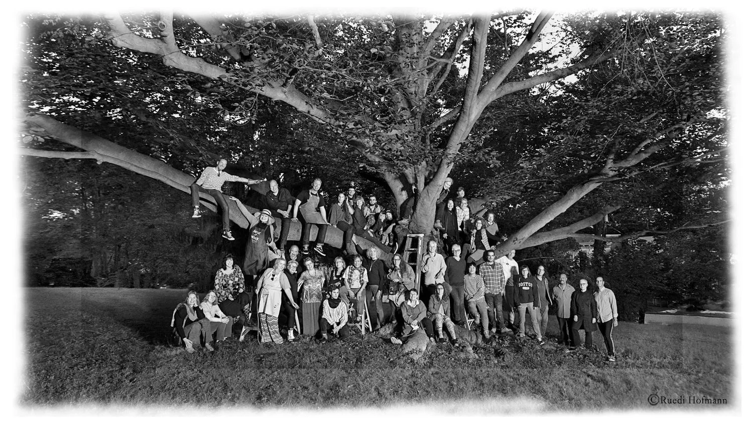 2018 - Downing Park