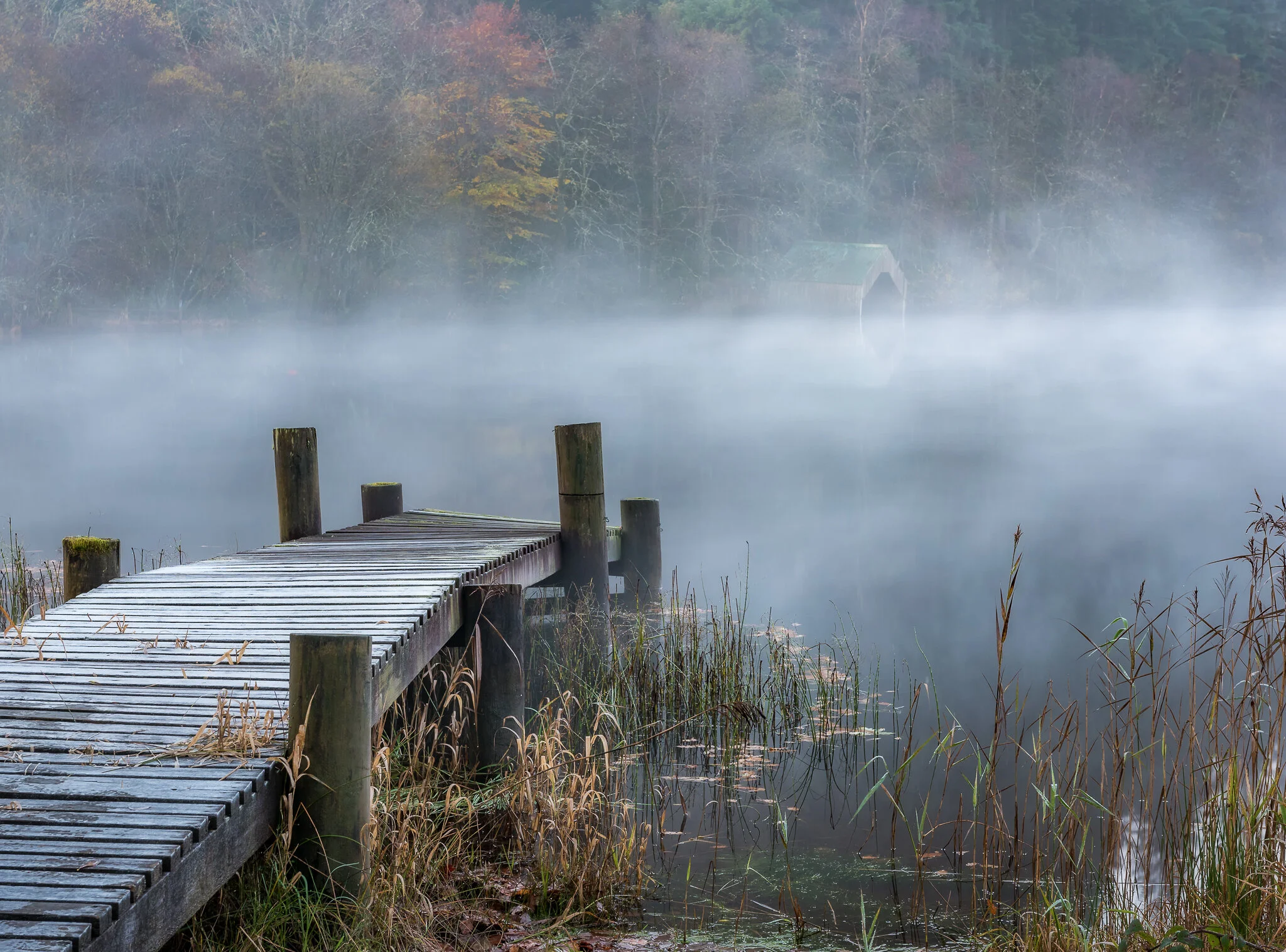 Milton Basin Morning Mist