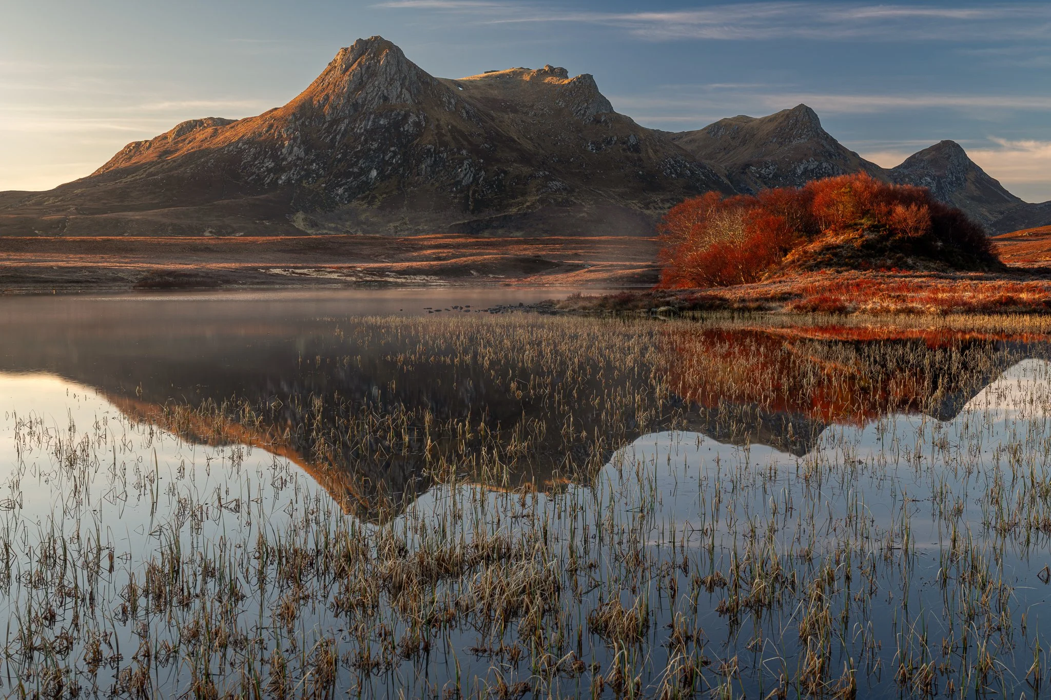 Golden Light on Ben Loyal
