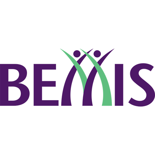 BEMIS resized.png