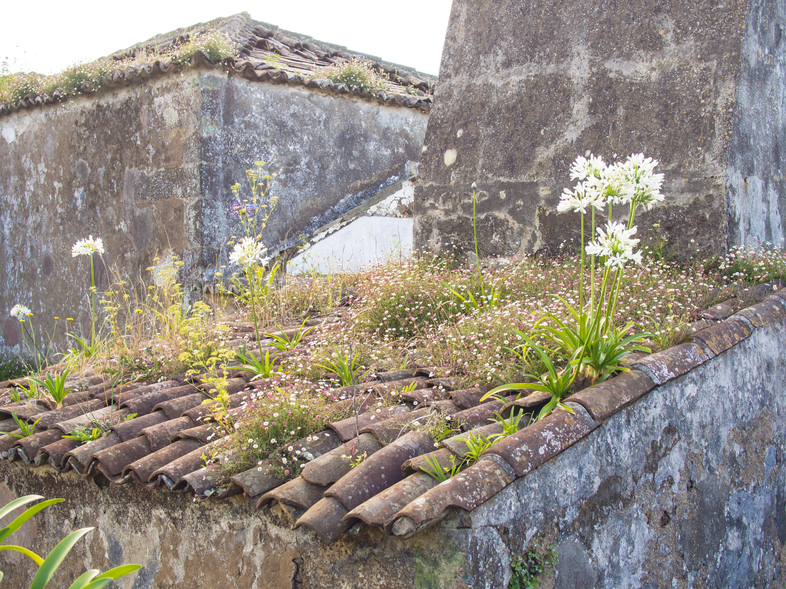  so many ruins around the island 