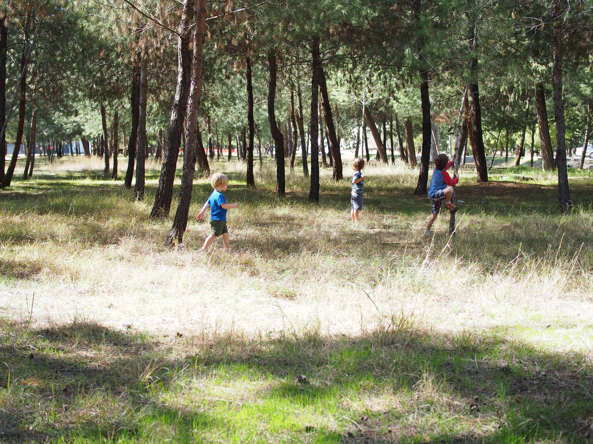  We went hunting for adventure on the little plot of land we live on.&nbsp; There are a couple areas like this that are used for night training - we used this one for a picnic/&nbsp; :) 