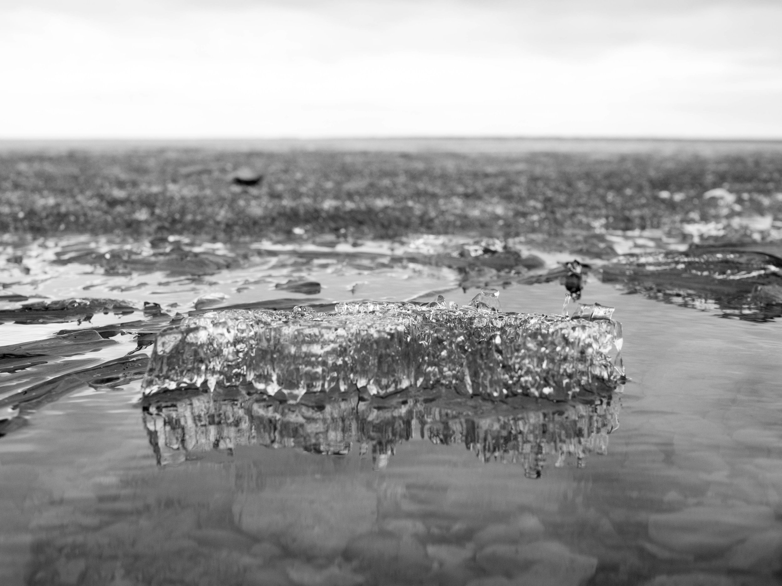P4080288-2.jpg
