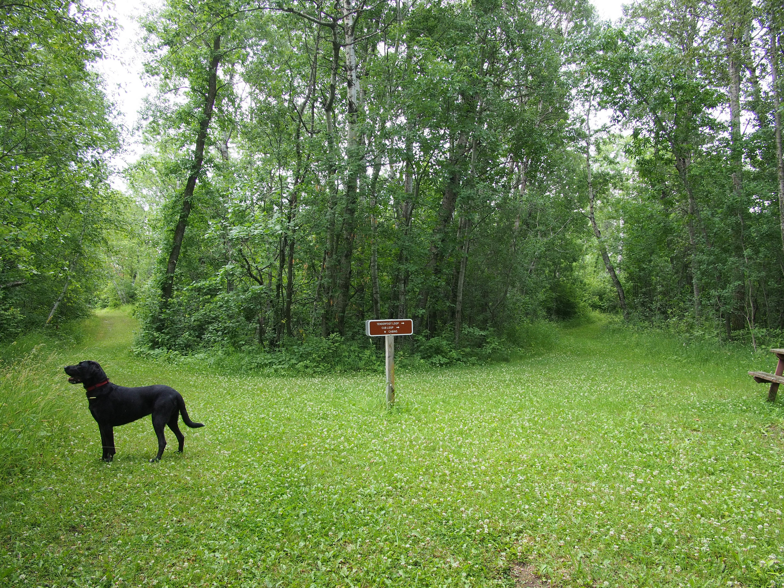 P7110105.jpg