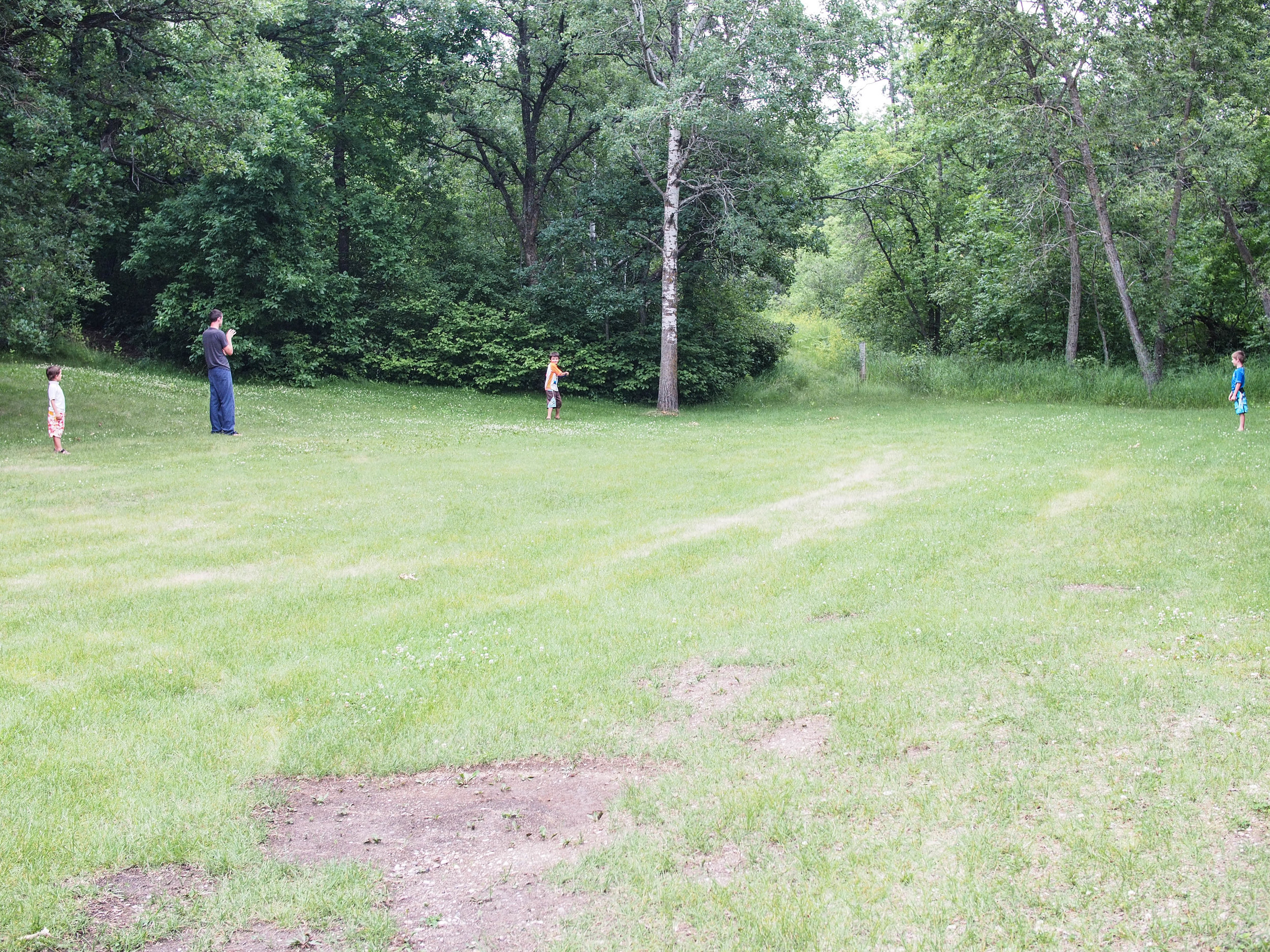 P7110163.jpg