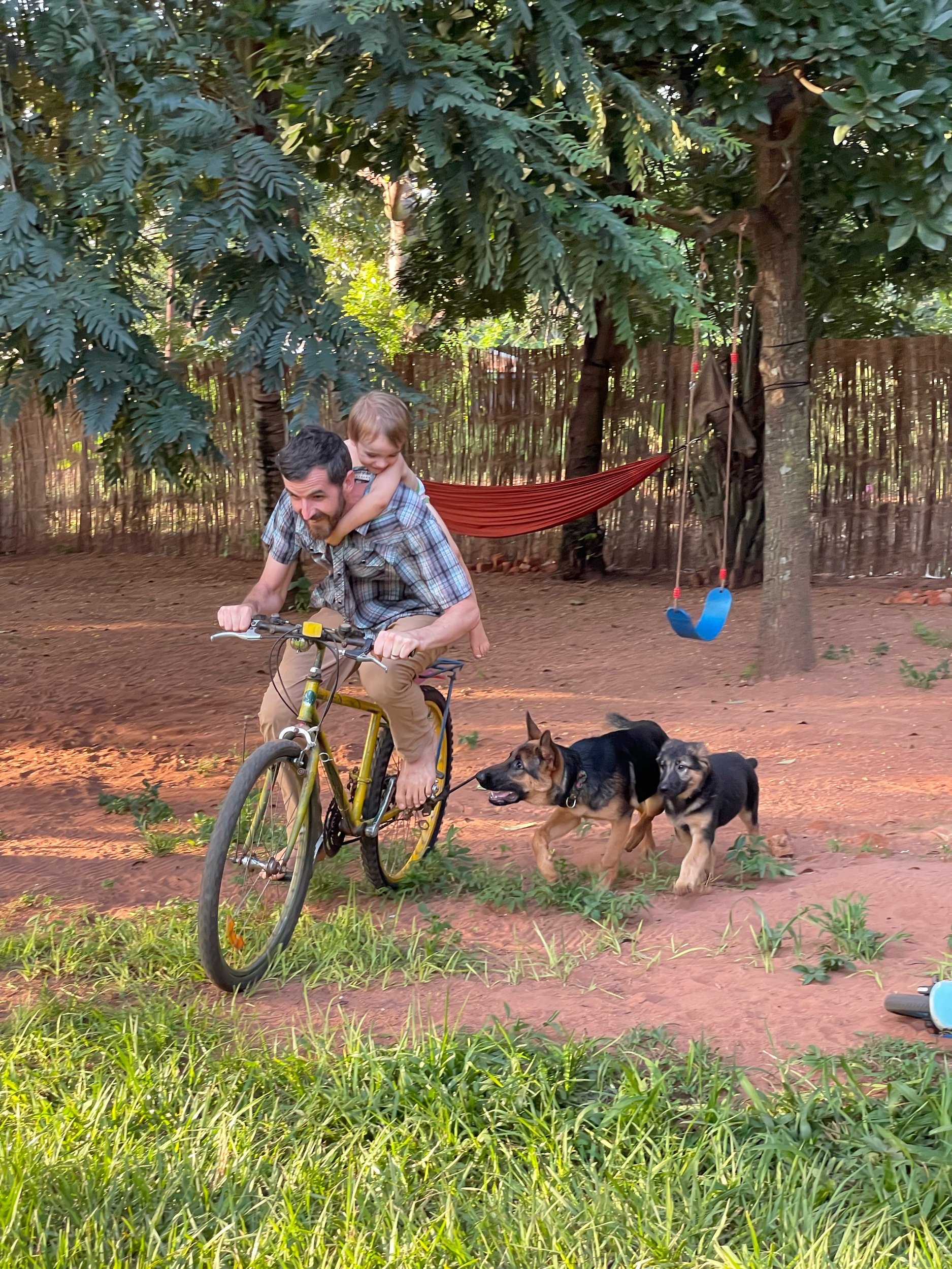 My version of a bicycle kid-carrier.