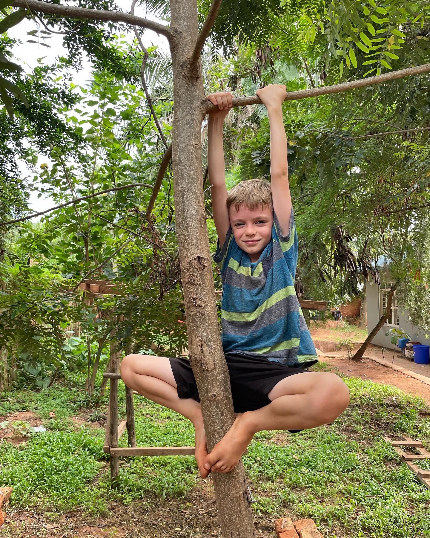 Luke has claimed this papaya tree