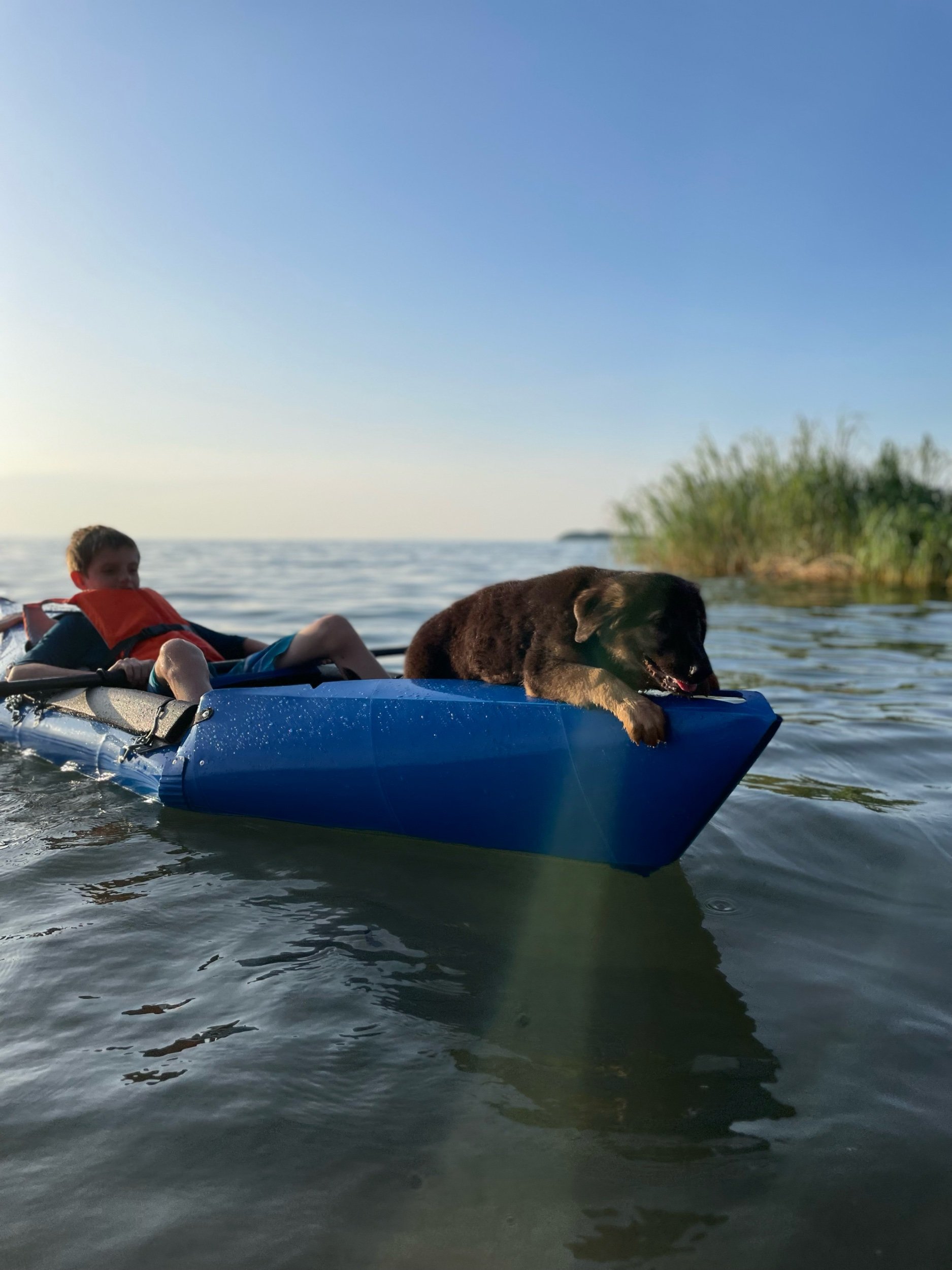 Kayak ride with the pup