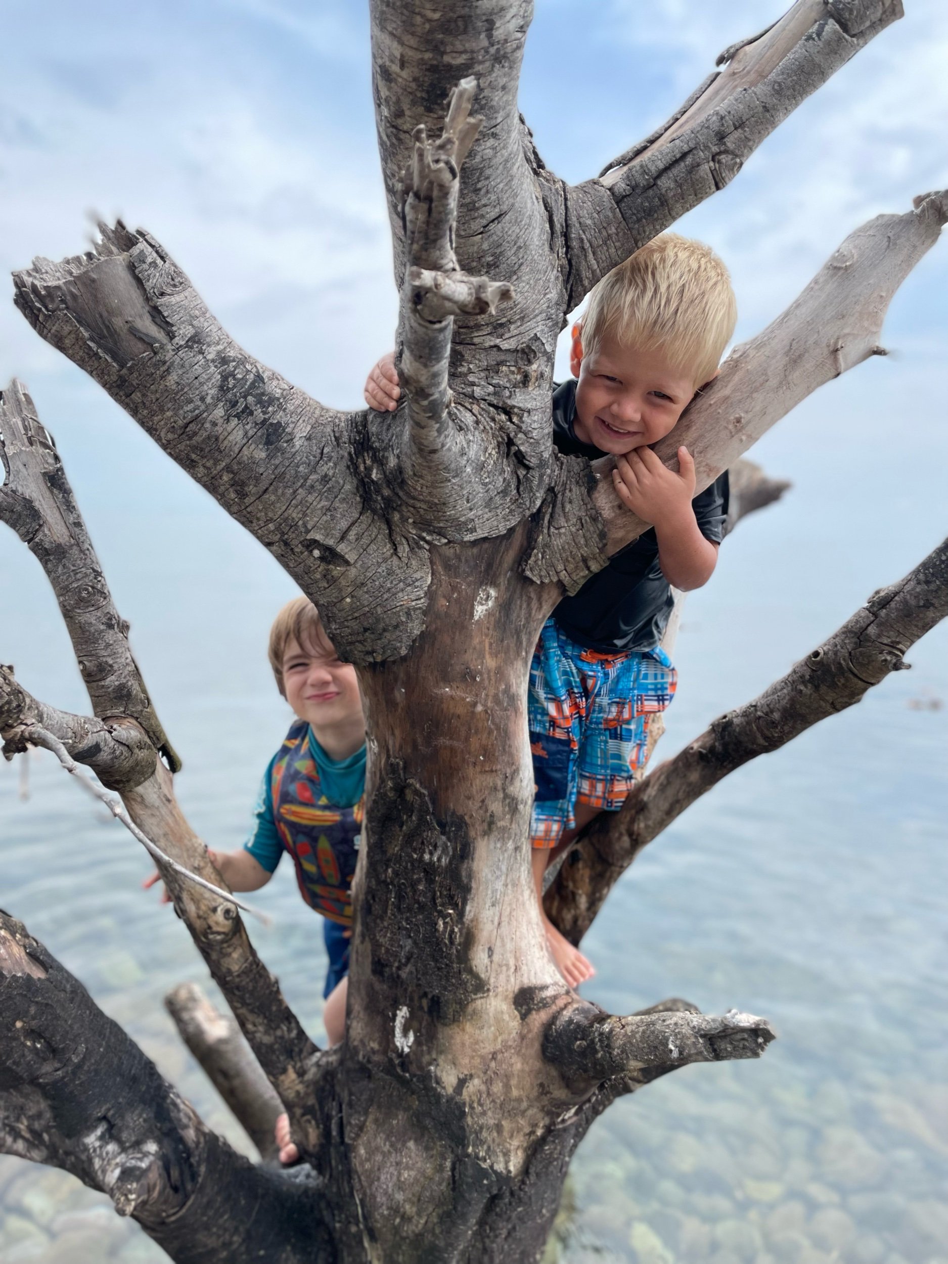 Zeke and his friend William climbing