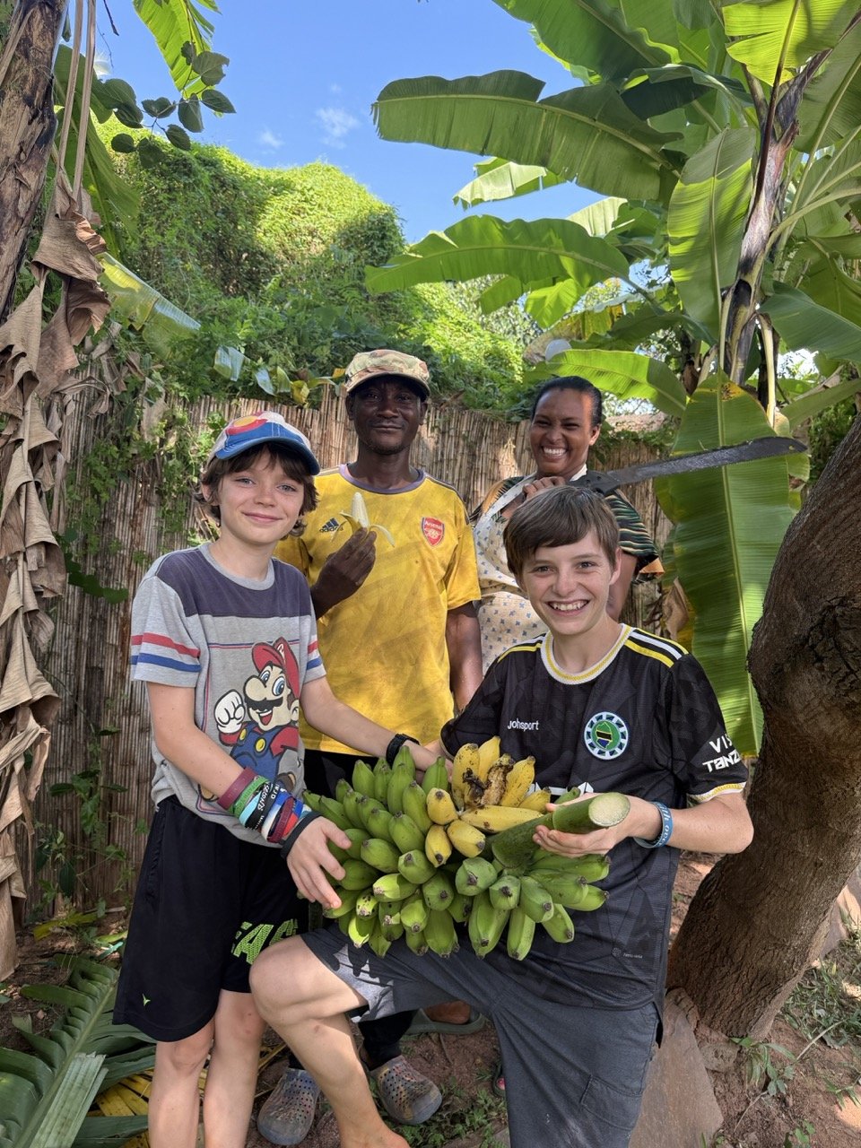 Backyard banana harvest!