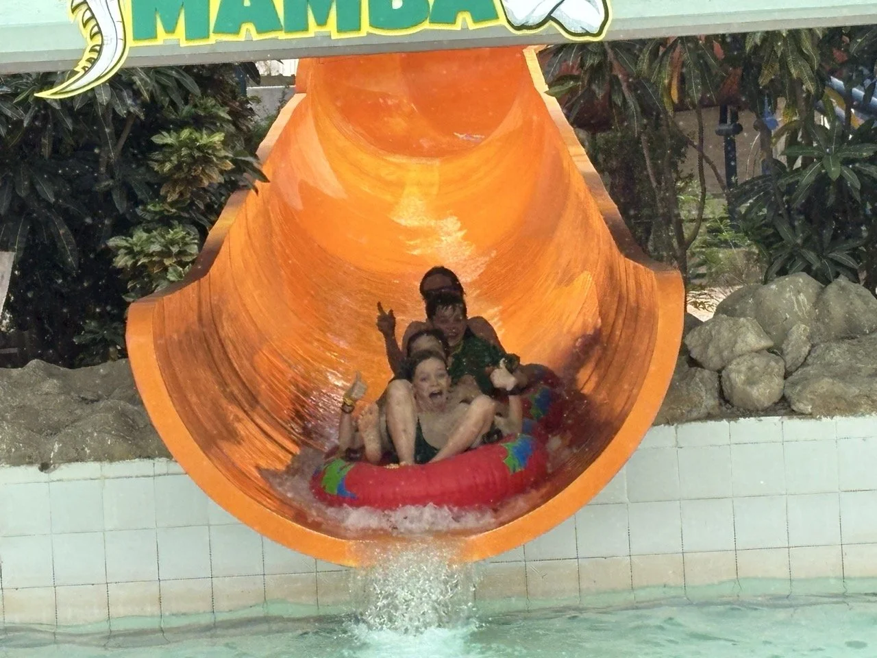 IMG_6463 2 Large.jpeg