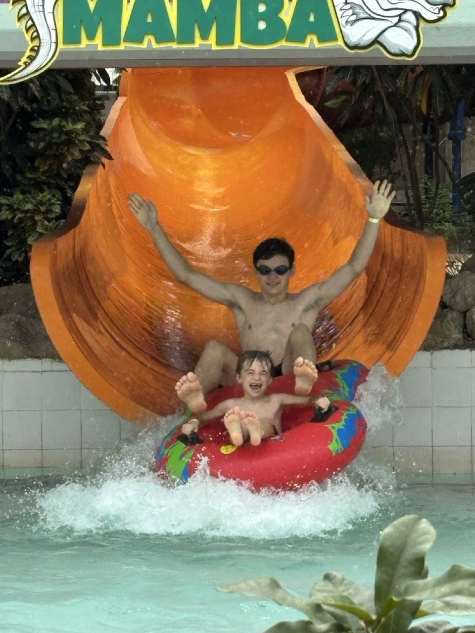 IMG_6464 2 Large.jpeg