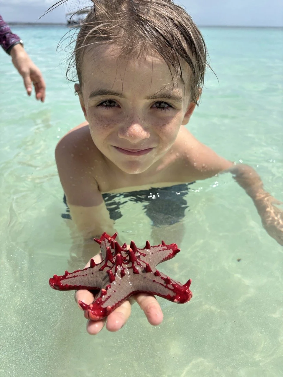 We love the starfish here!