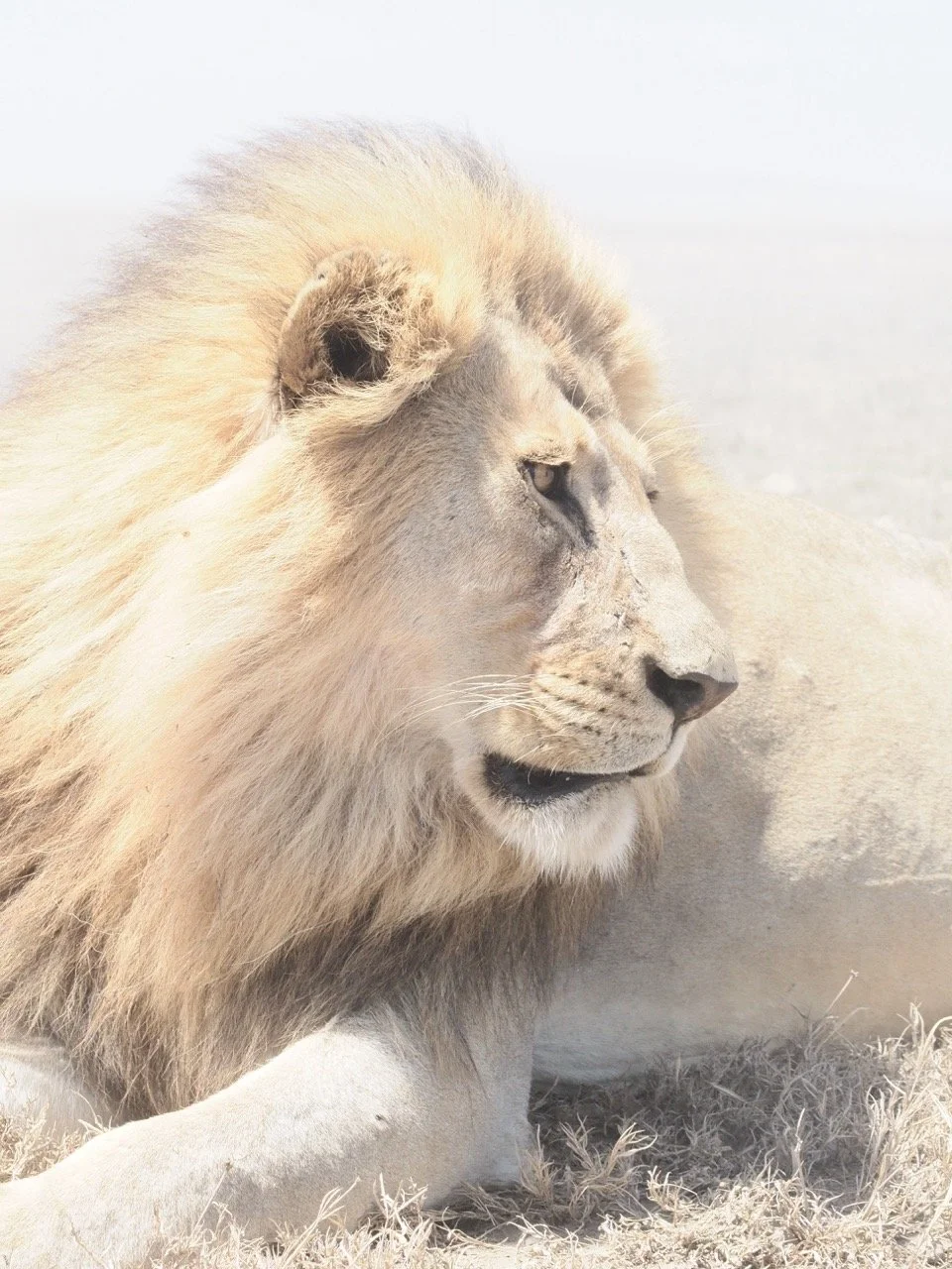 This guy was RIGHT by the car