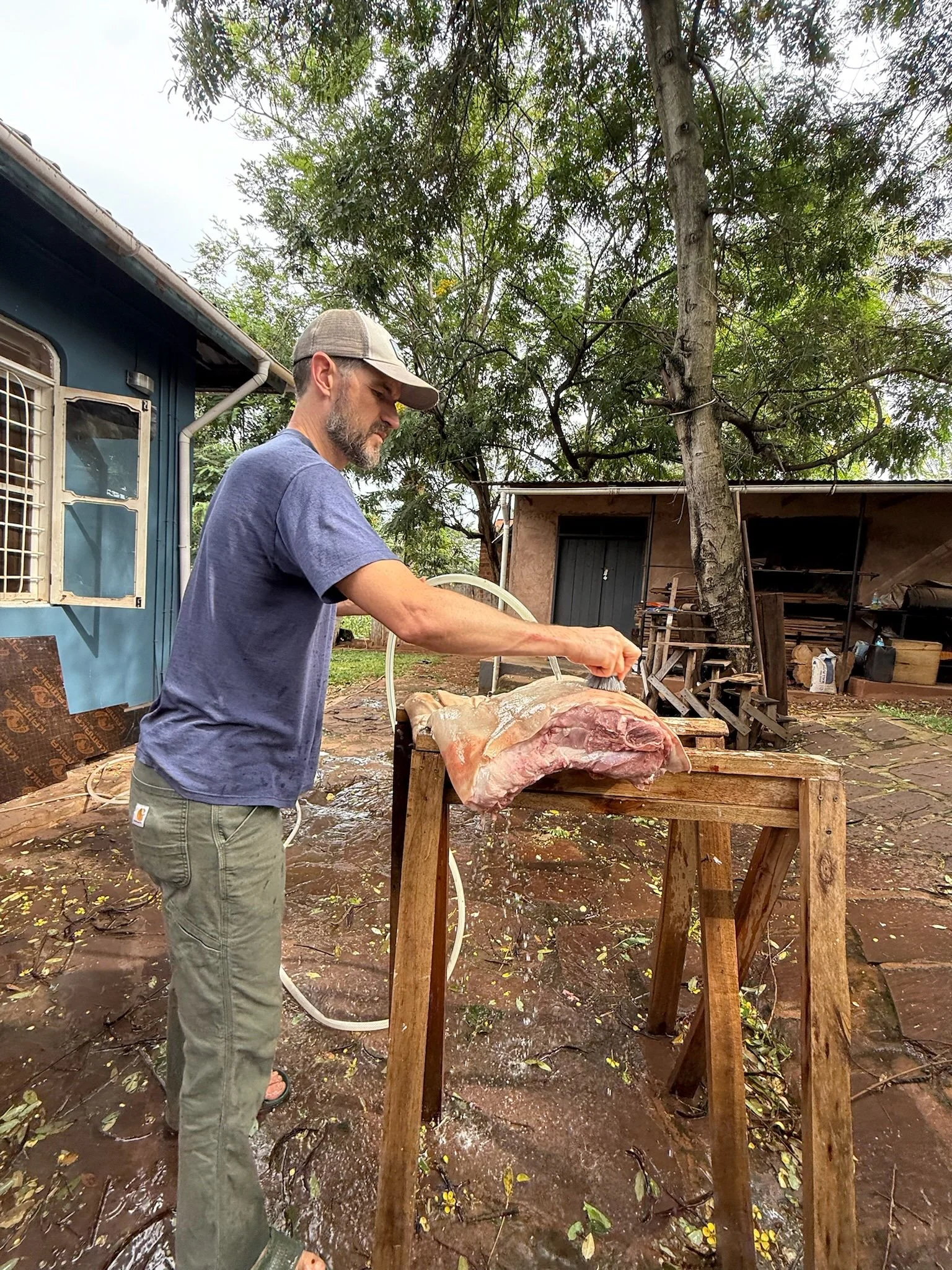 Pork processing