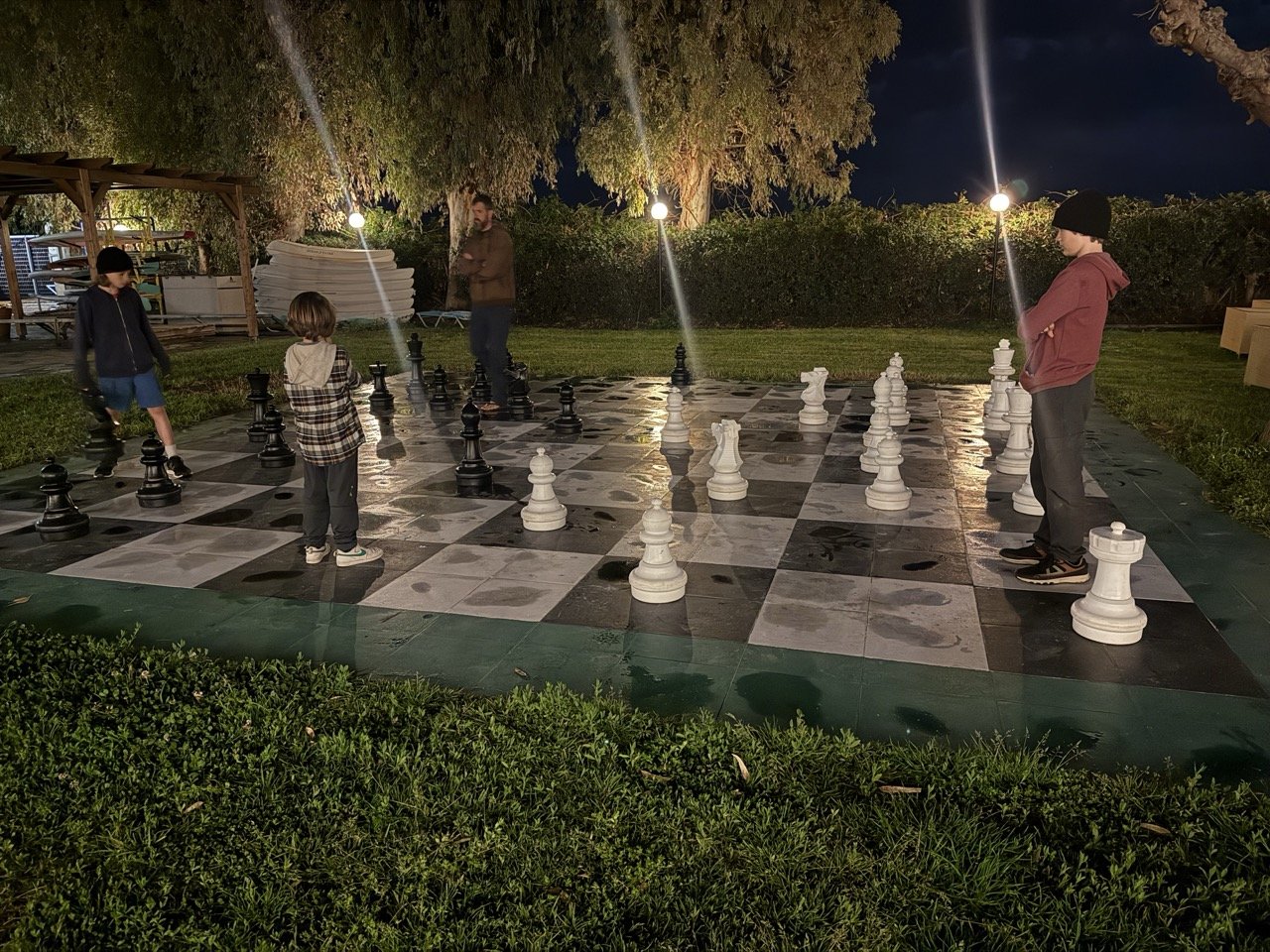a big game of chess