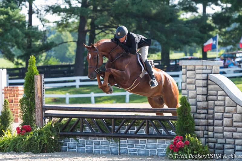 Davidson , sired by Cabana, 2016 USHJA Pre-Green Incentive Championship Round 2 Winner and American-Bred Bonus Recipient.