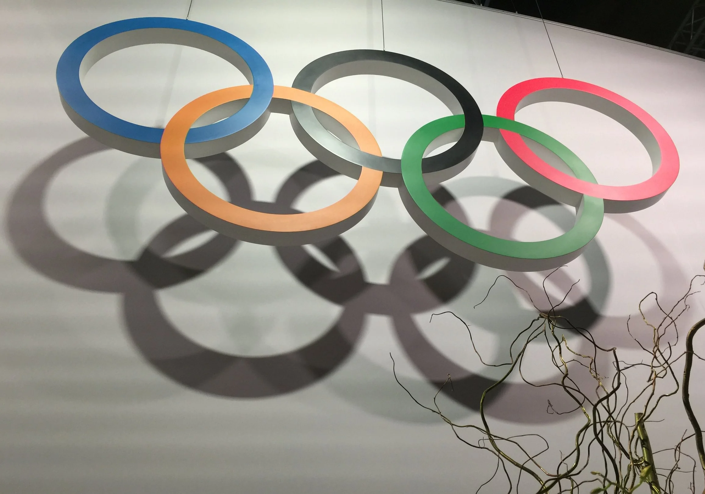 20 years translating & transcreating articles, documents, contracts, books & manuals for the Olympic Movement.