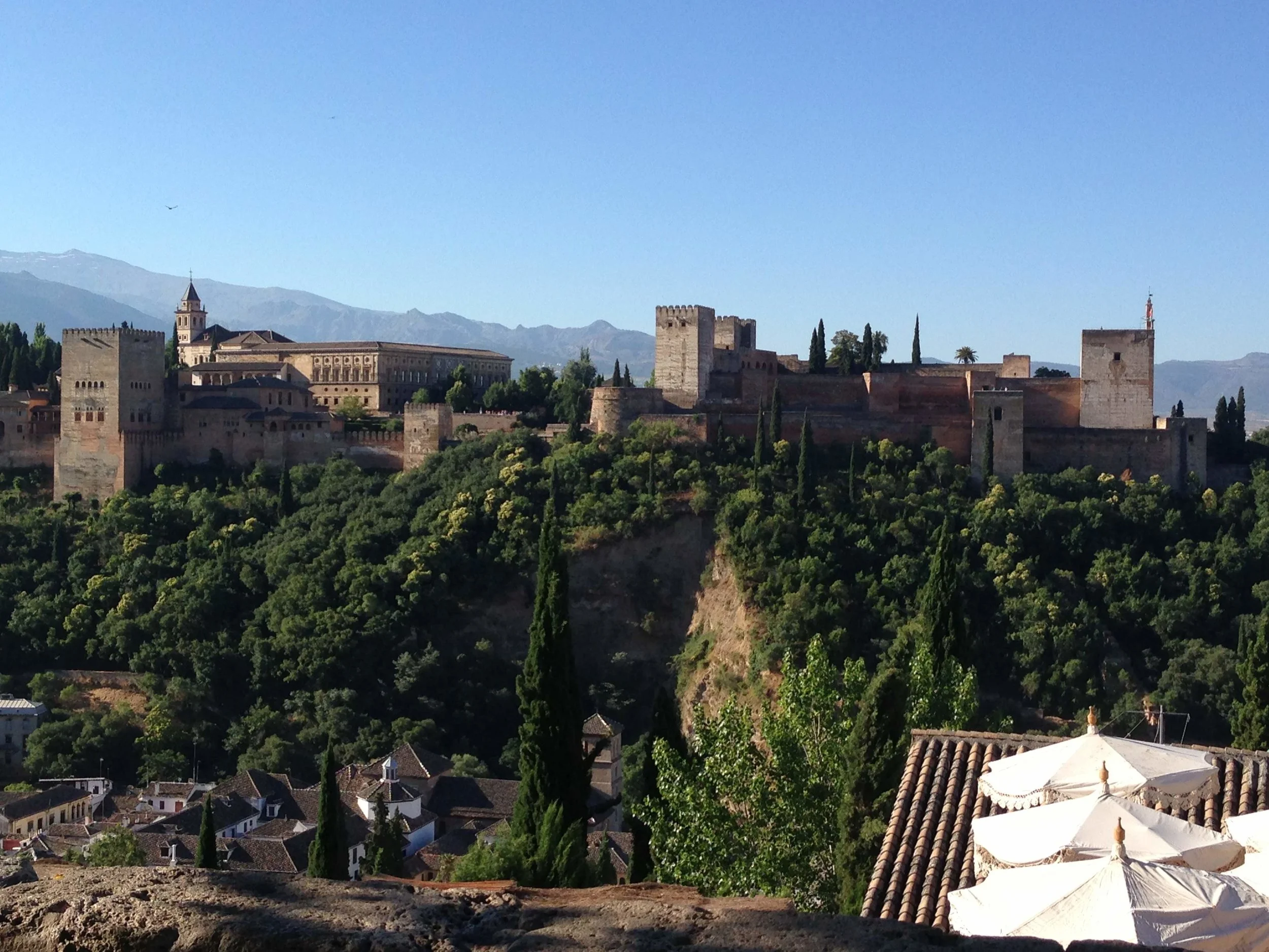 The Alhambra Palace viewed from opposite hill