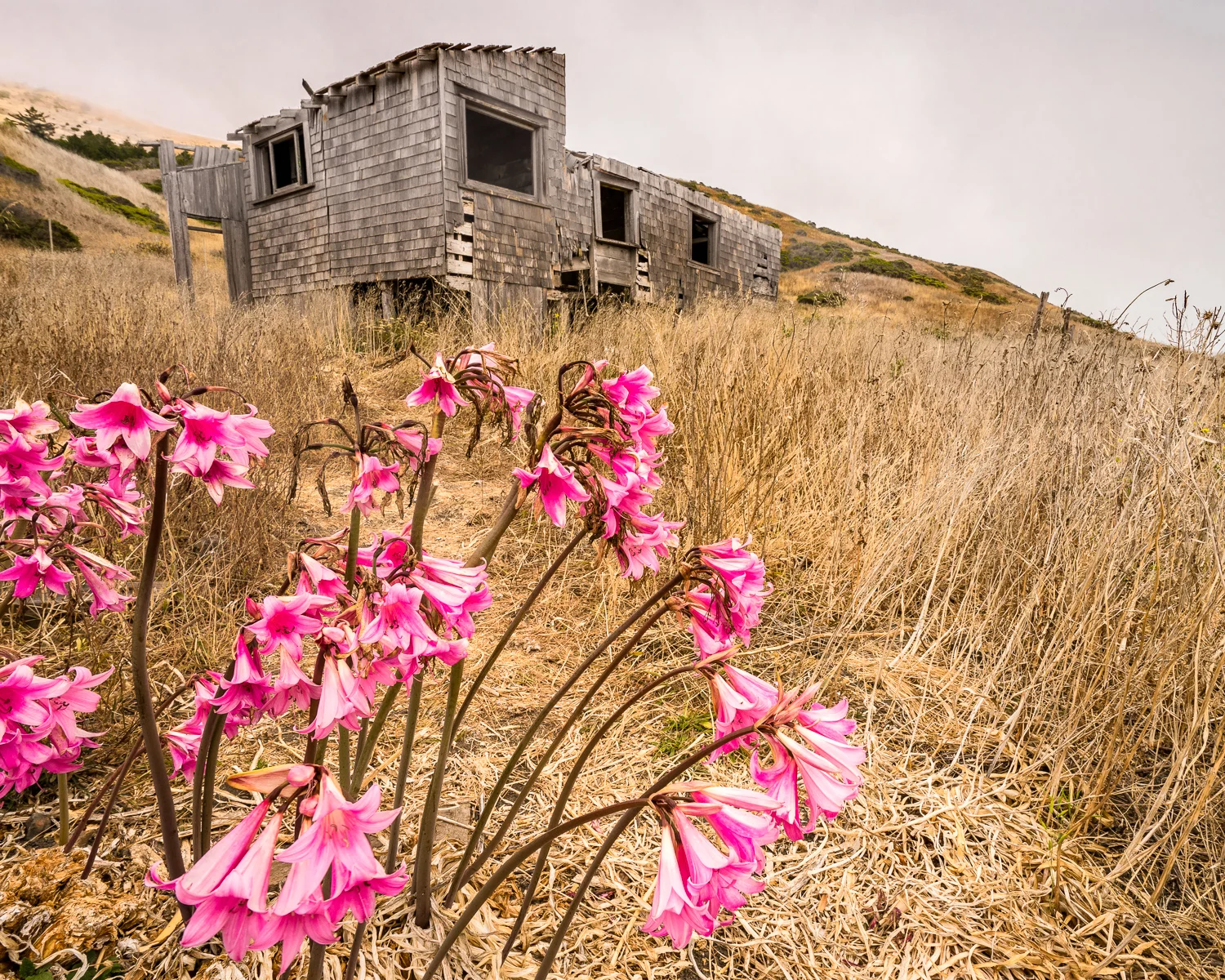 2016_August_19-Lost_Coast_Trail-26768-Edit.jpg