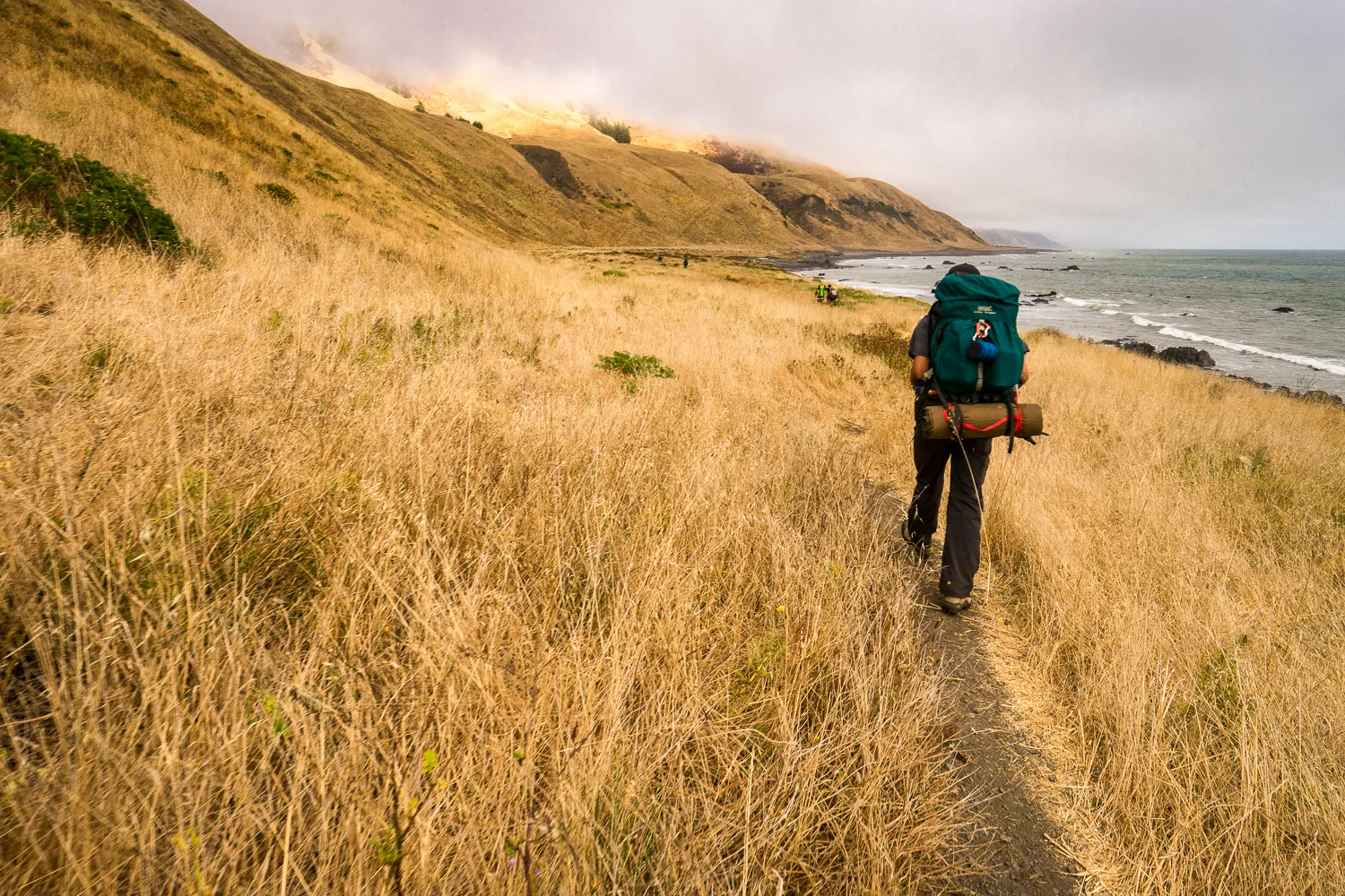 2016_August_19-Lost_Coast_Trail-26819.jpg