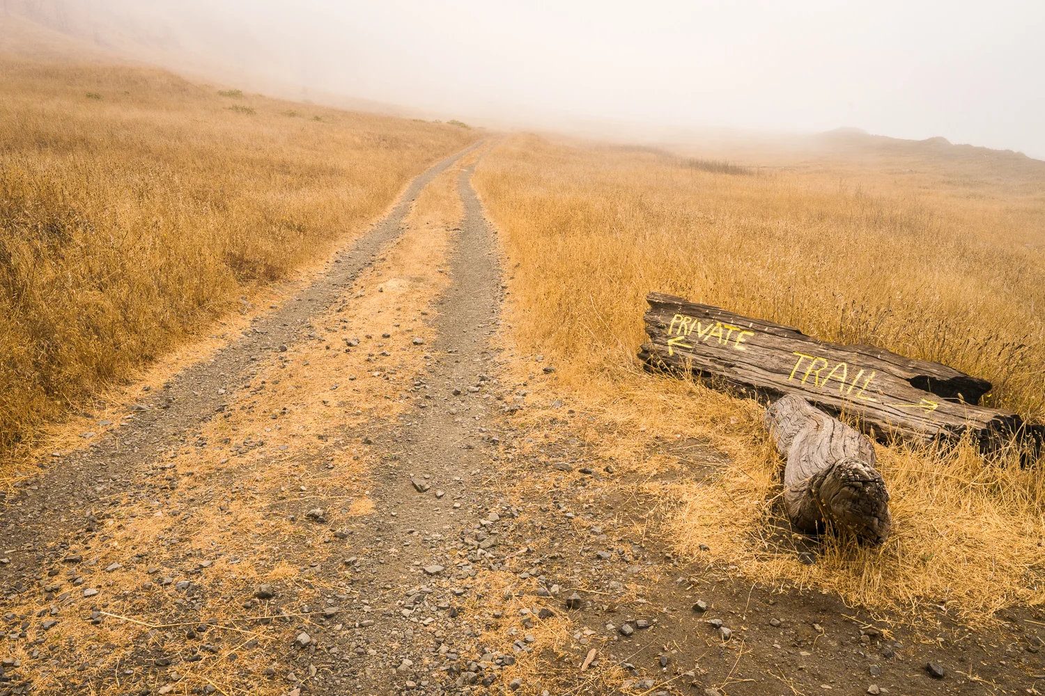 2016_August_20-Lost_Coast_Trail-26859.jpg