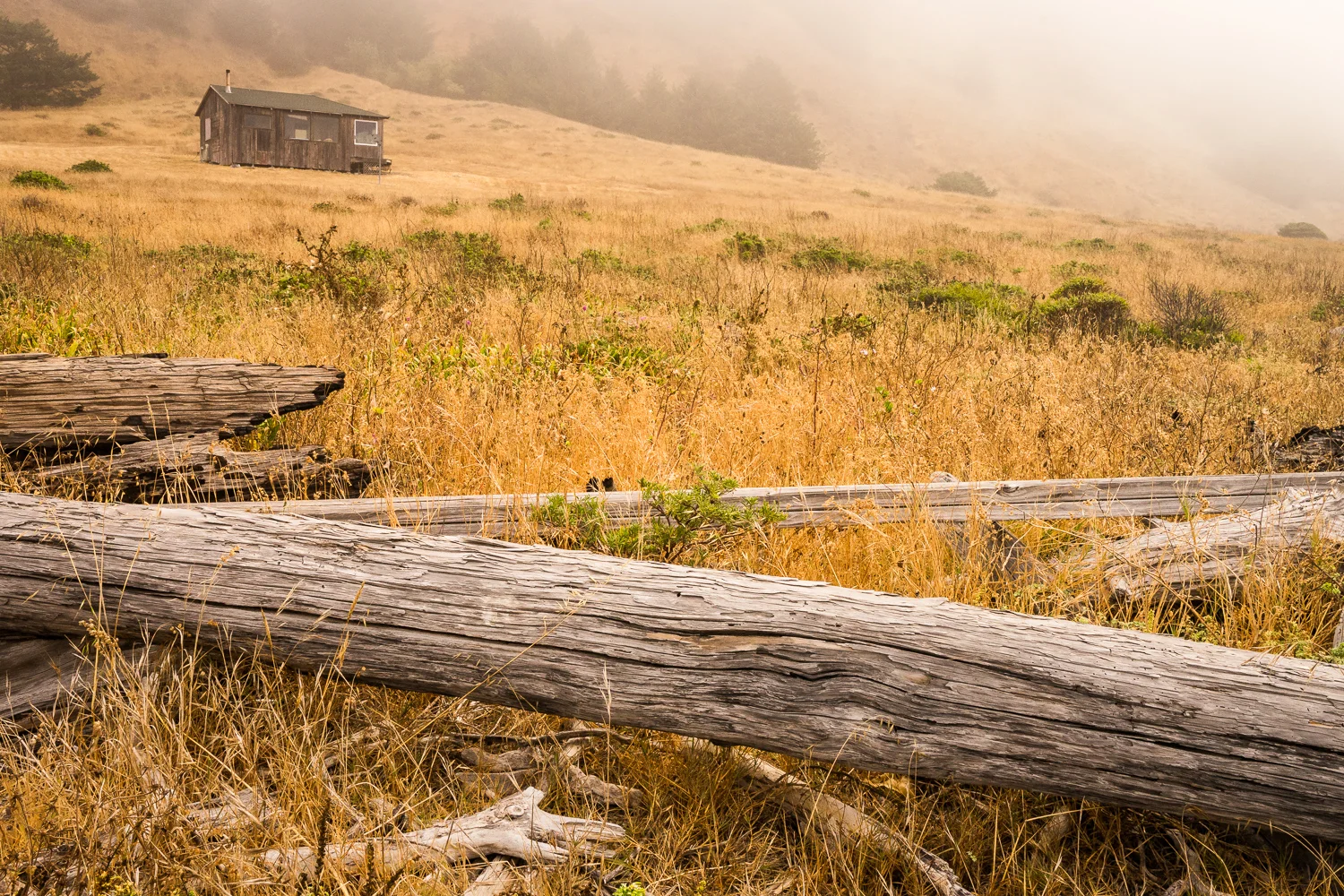 2016_August_20-Lost_Coast_Trail-26849.jpg
