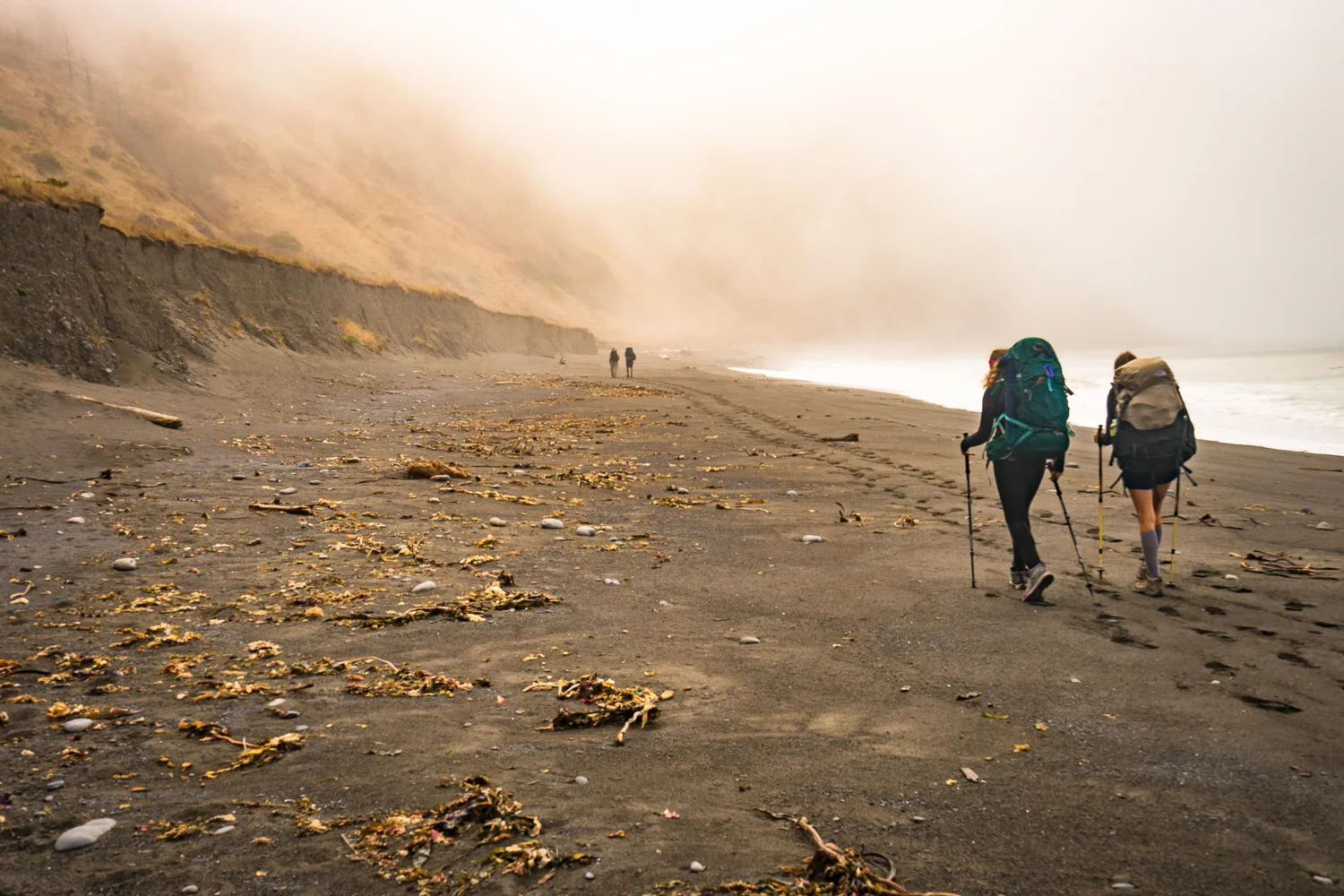 2016_August_20-Lost_Coast_Trail-26864.jpg