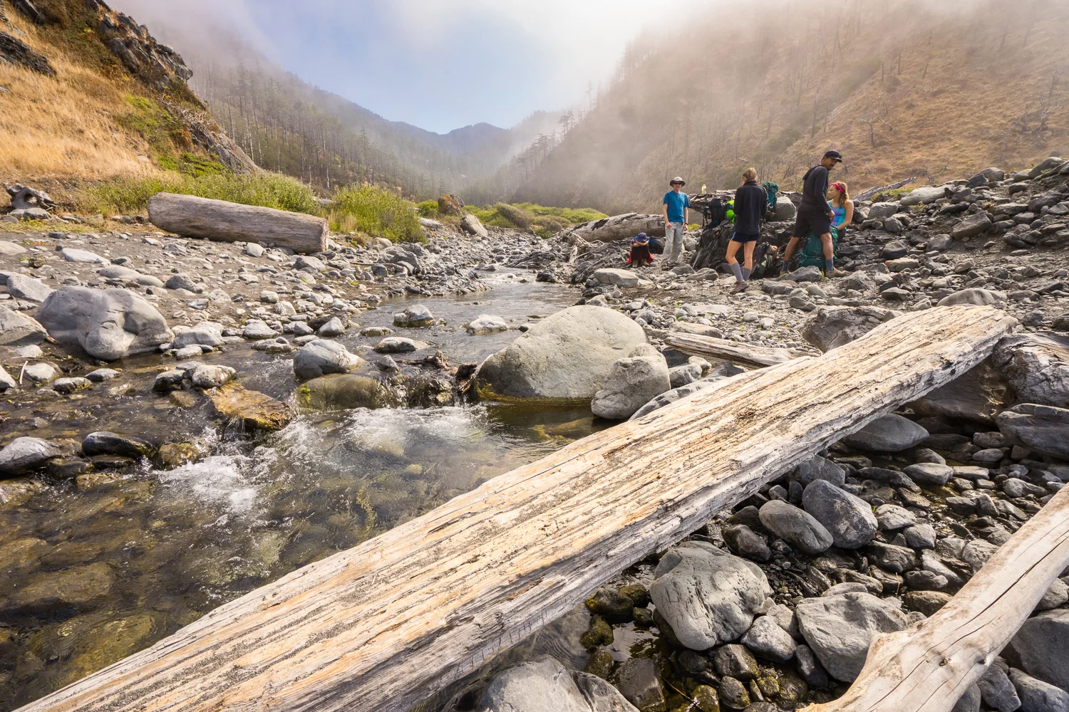 2016_August_20-Lost_Coast_Trail-26876.jpg