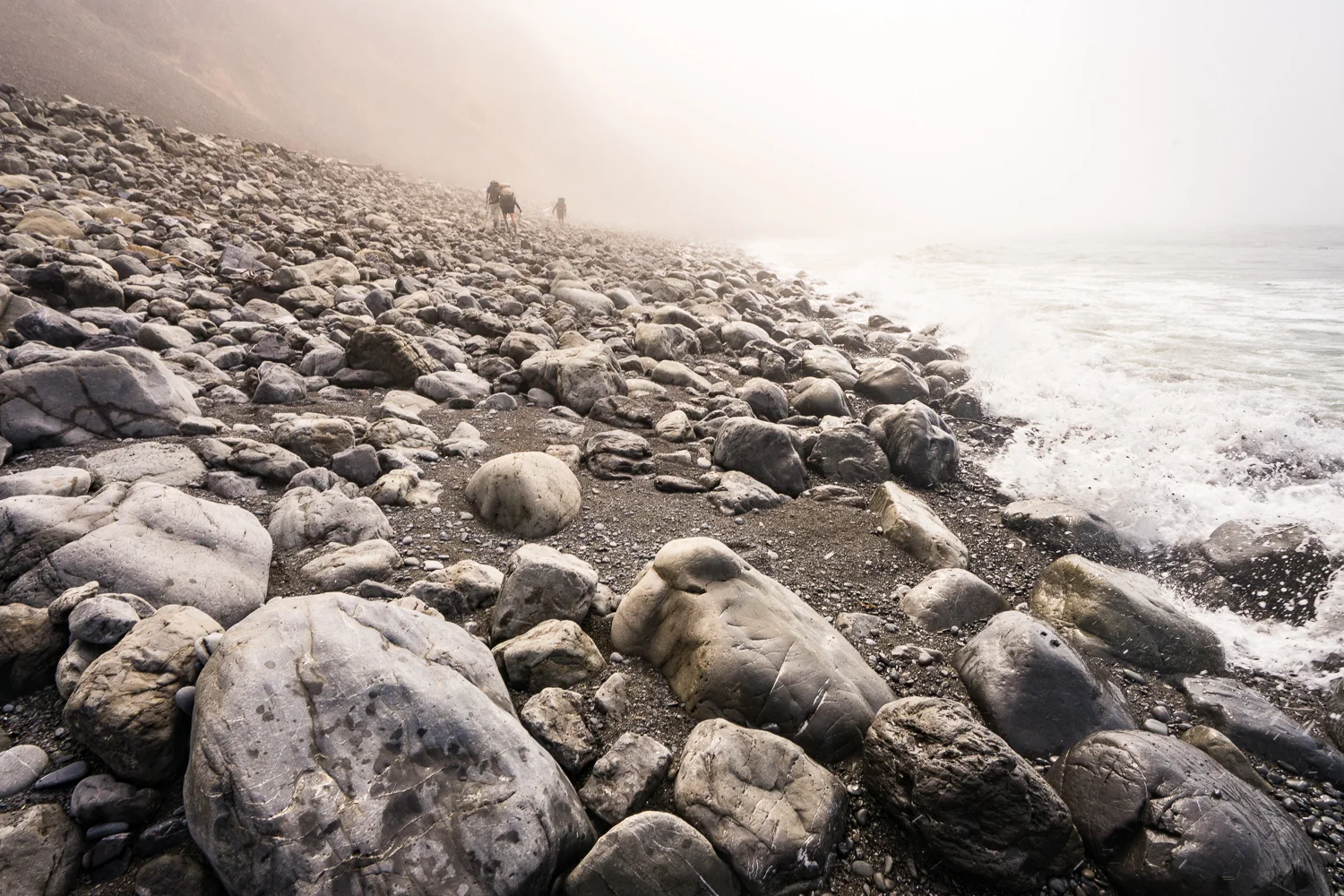 2016_August_20-Lost_Coast_Trail-26882.jpg