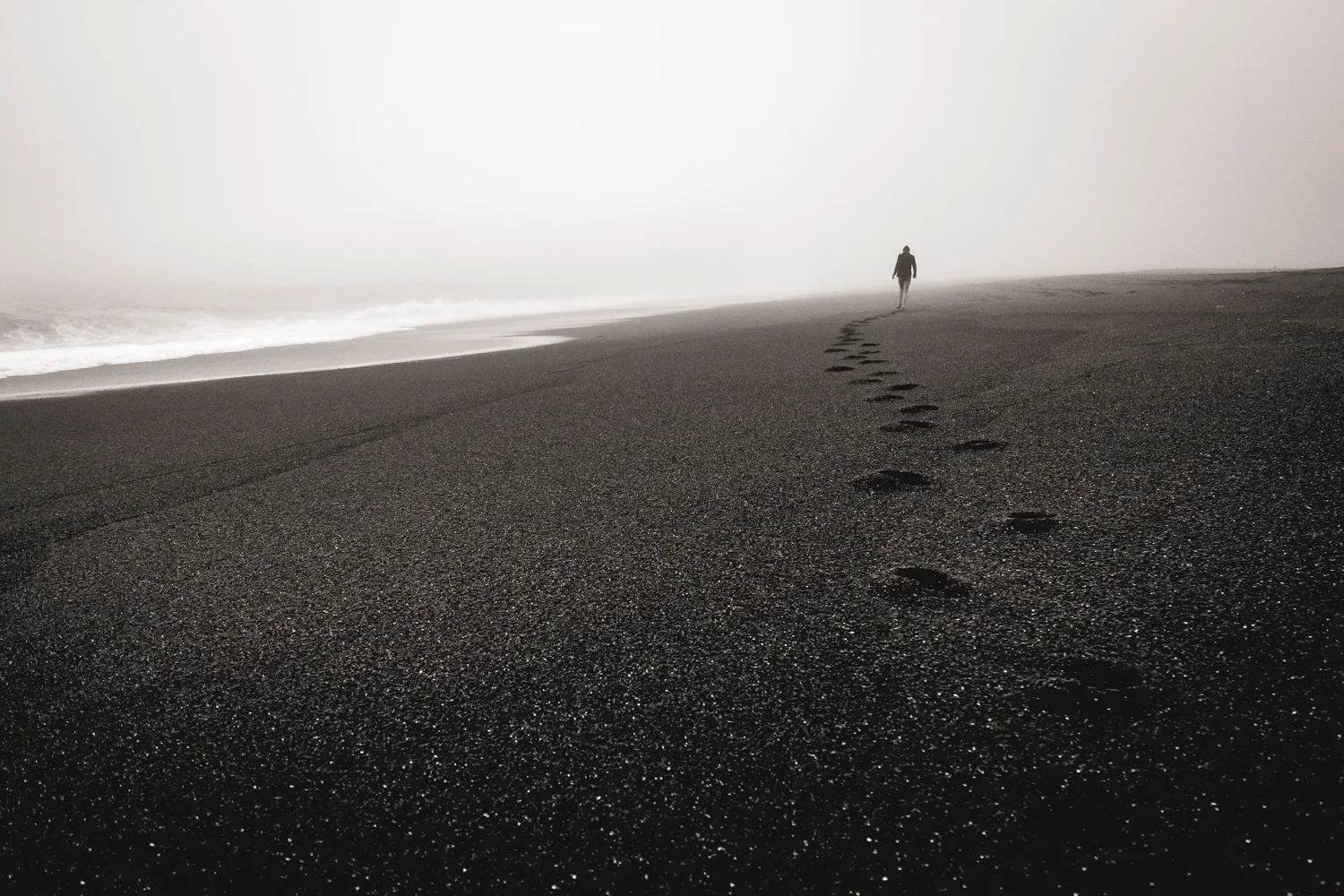 2016_August_18-Lost_Coast_Trail-26680.jpg