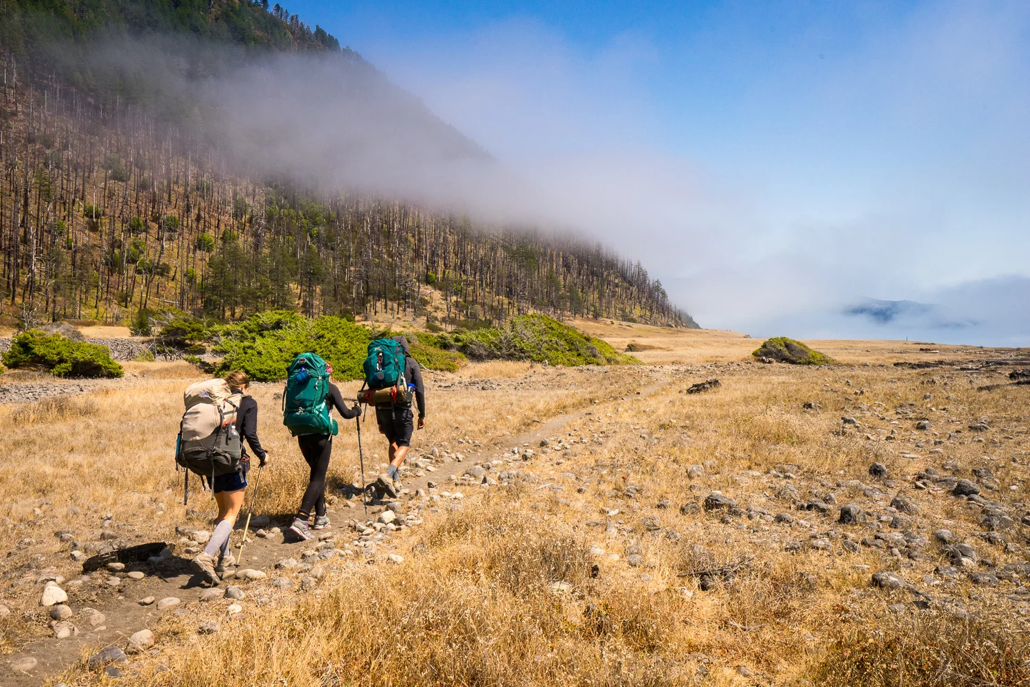2016_August_20-Lost_Coast_Trail-26939.jpg