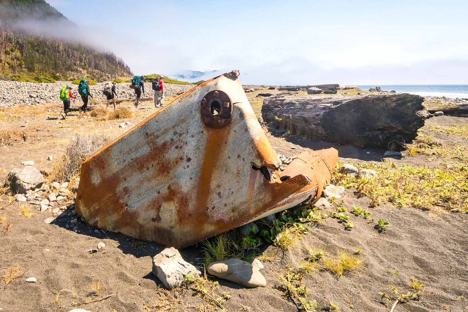 2016_August_20-Lost_Coast_Trail-26937.jpg