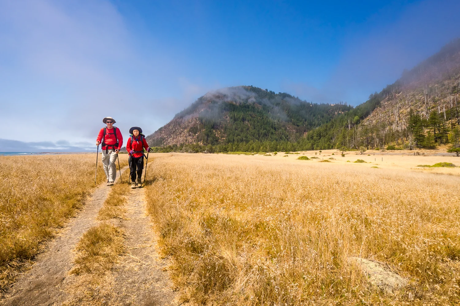 2016_August_20-Lost_Coast_Trail-26944.jpg