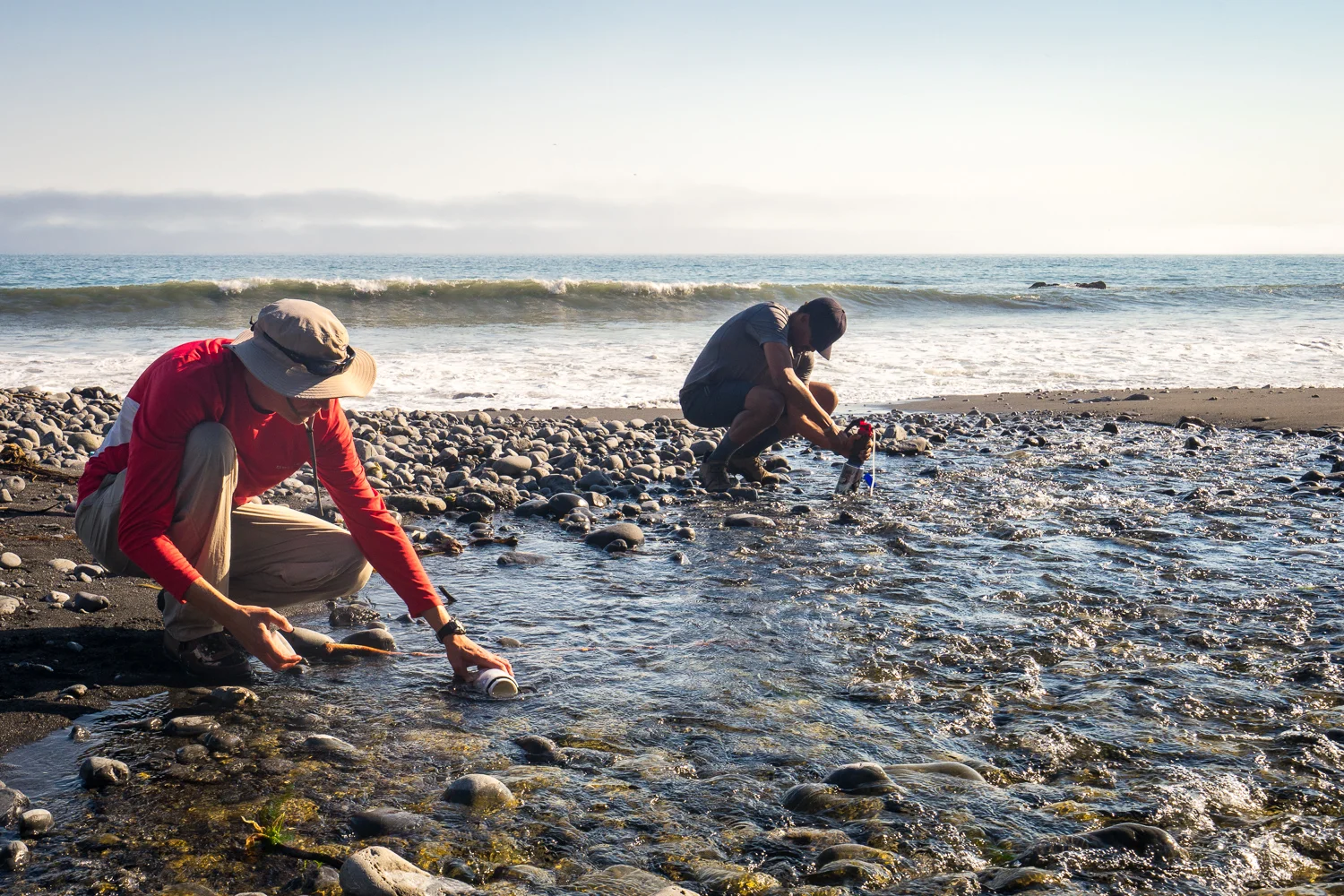 2016_August_20-Lost_Coast_Trail-26999.jpg