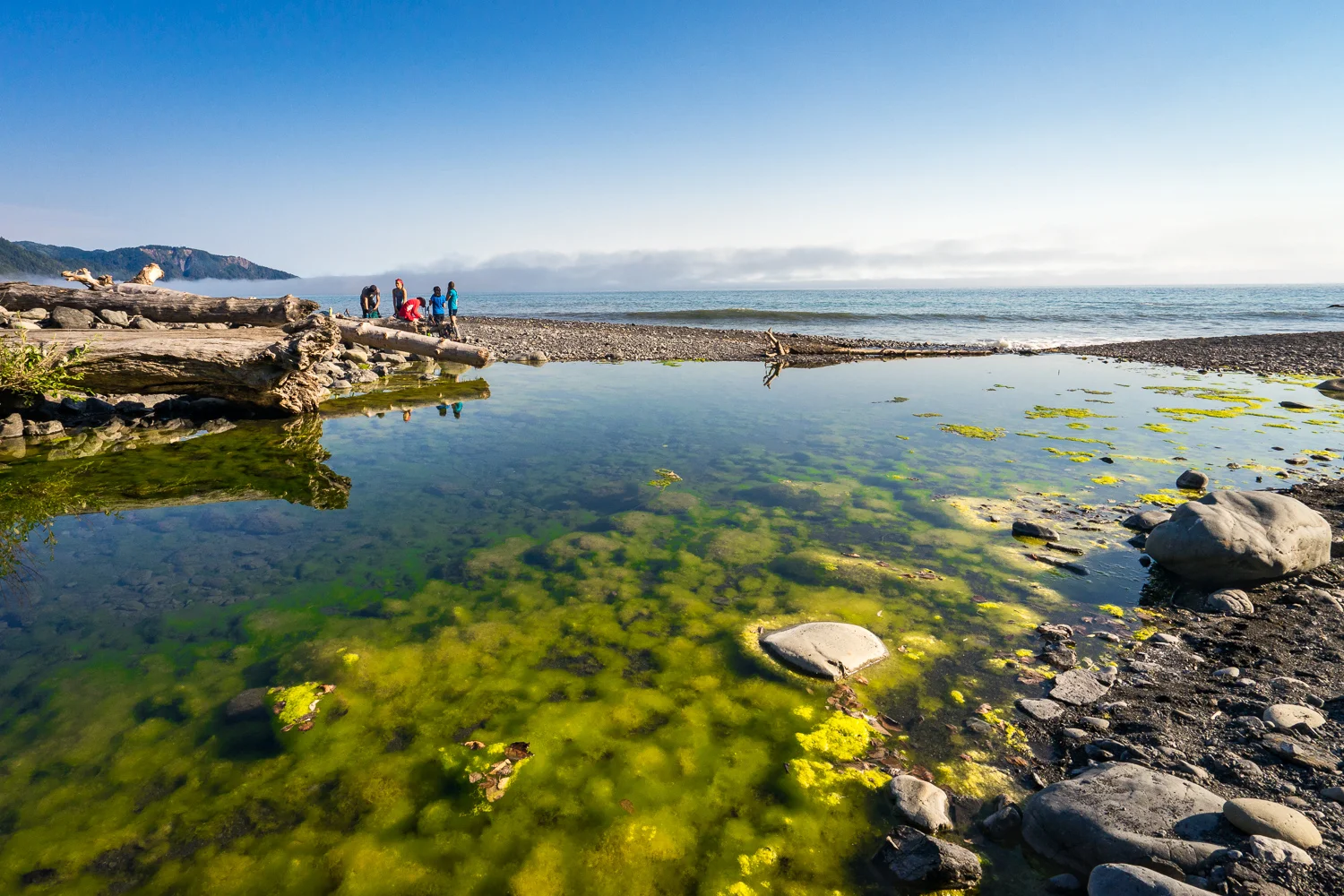 2016_August_20-Lost_Coast_Trail-27001.jpg