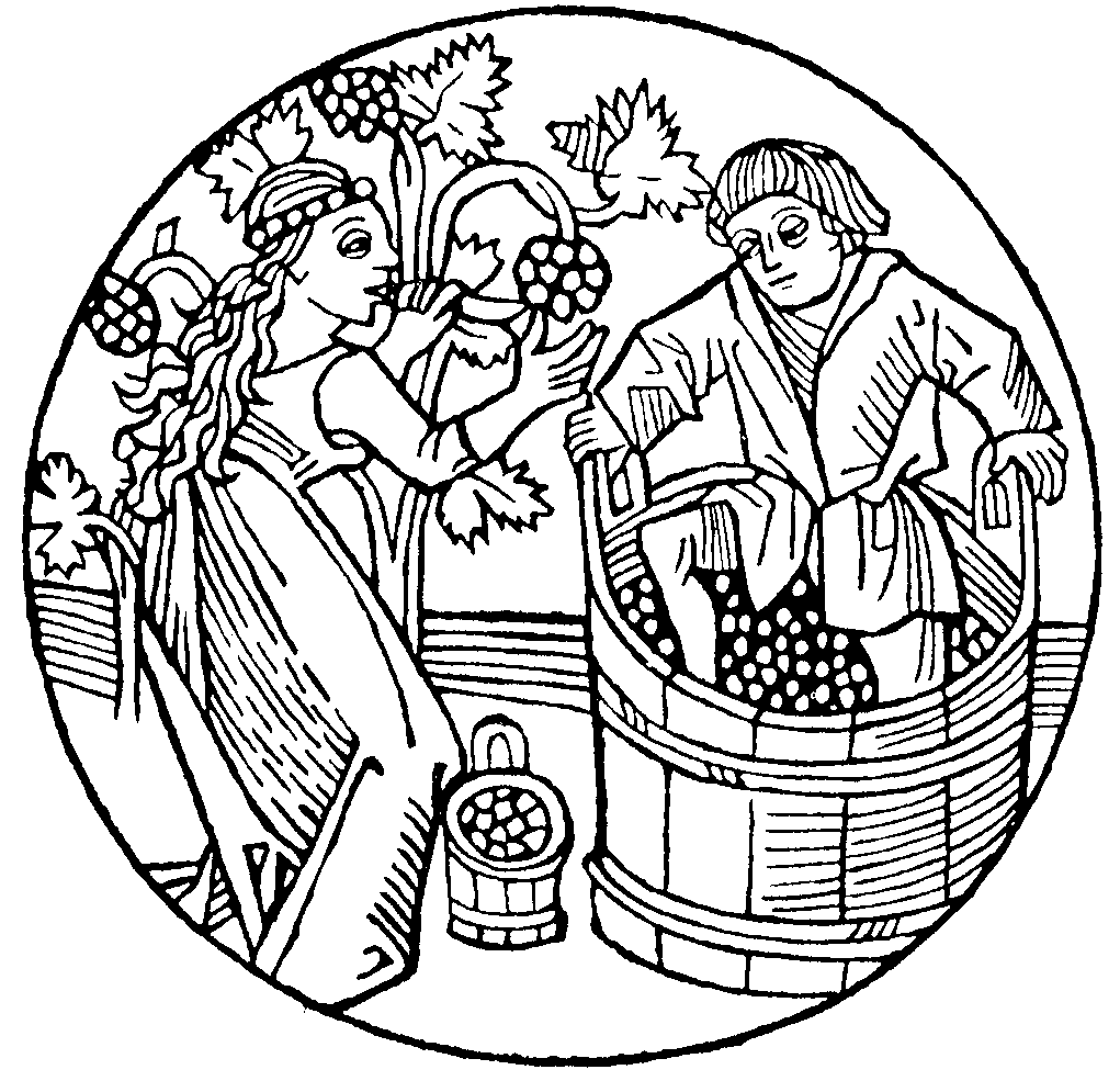 The Bible Wine Question.