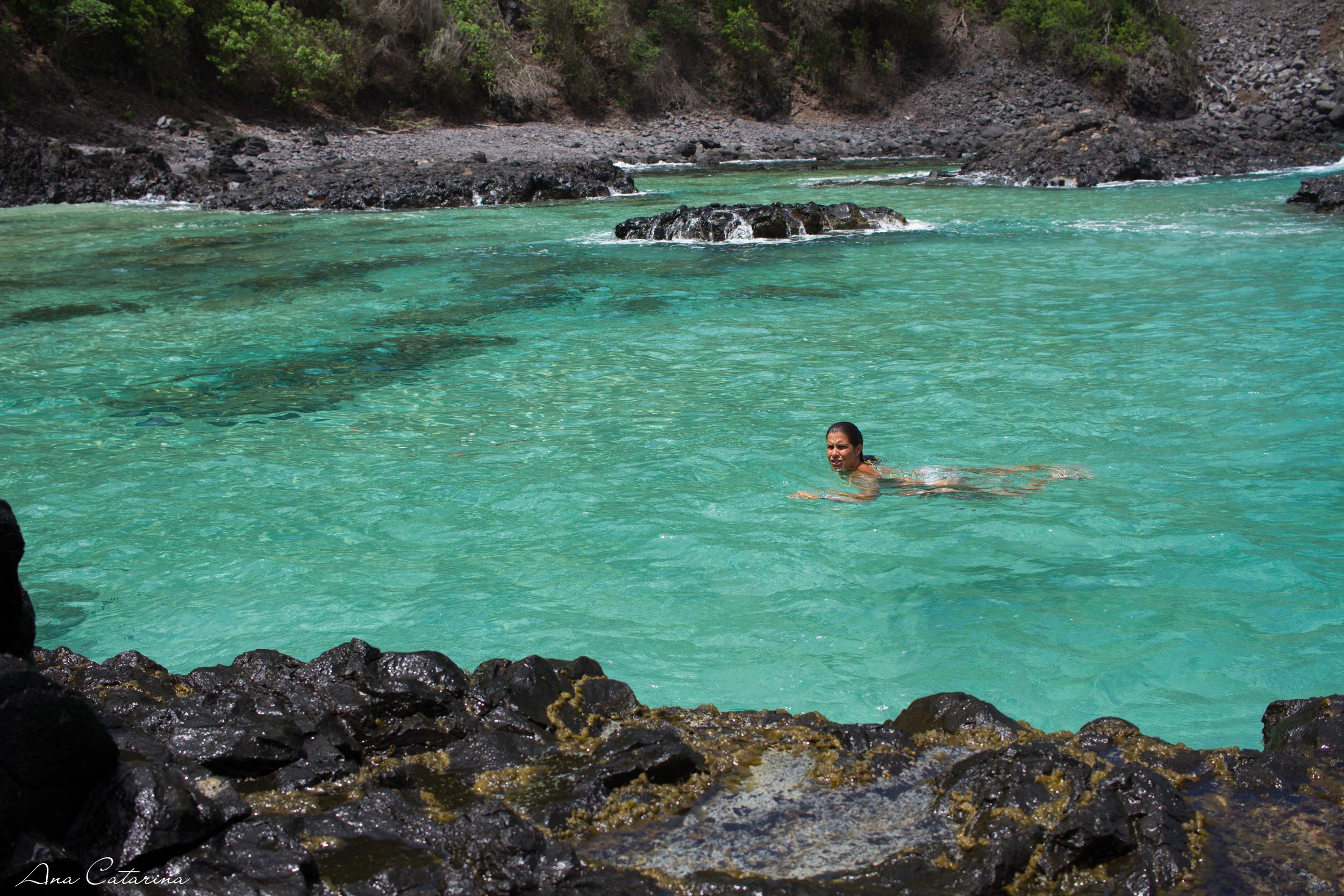 "Pig's Bay" tava como? Ofuscando!
