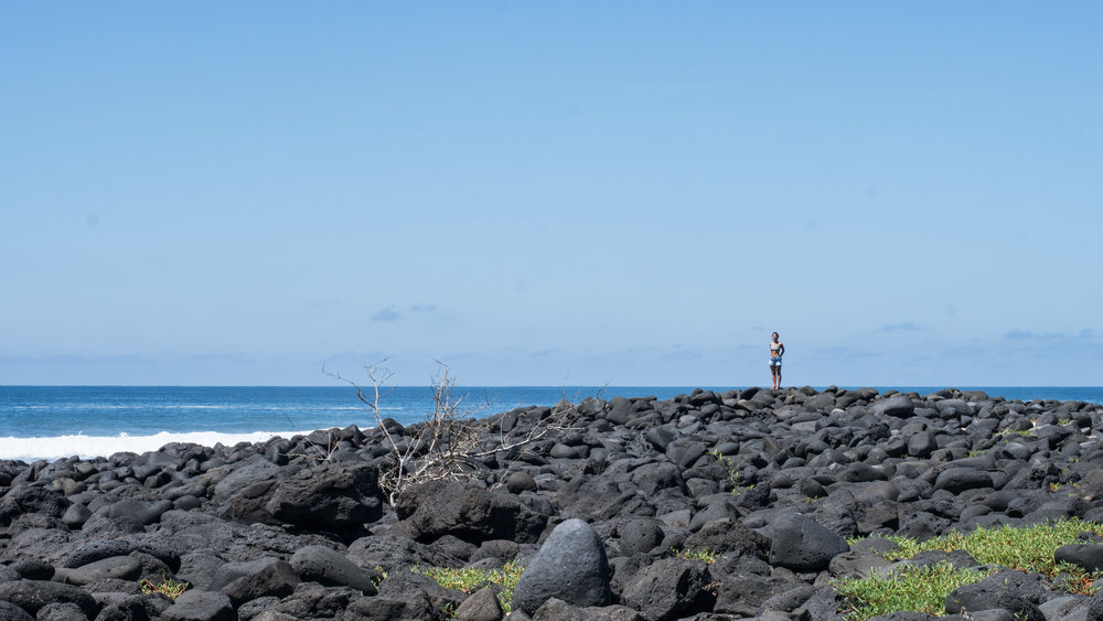 Galápagos-02859.jpg