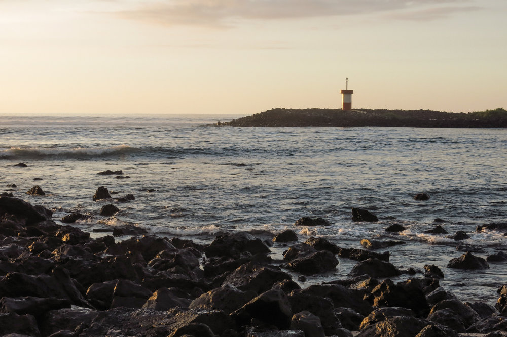 Galápagos-0324.jpg