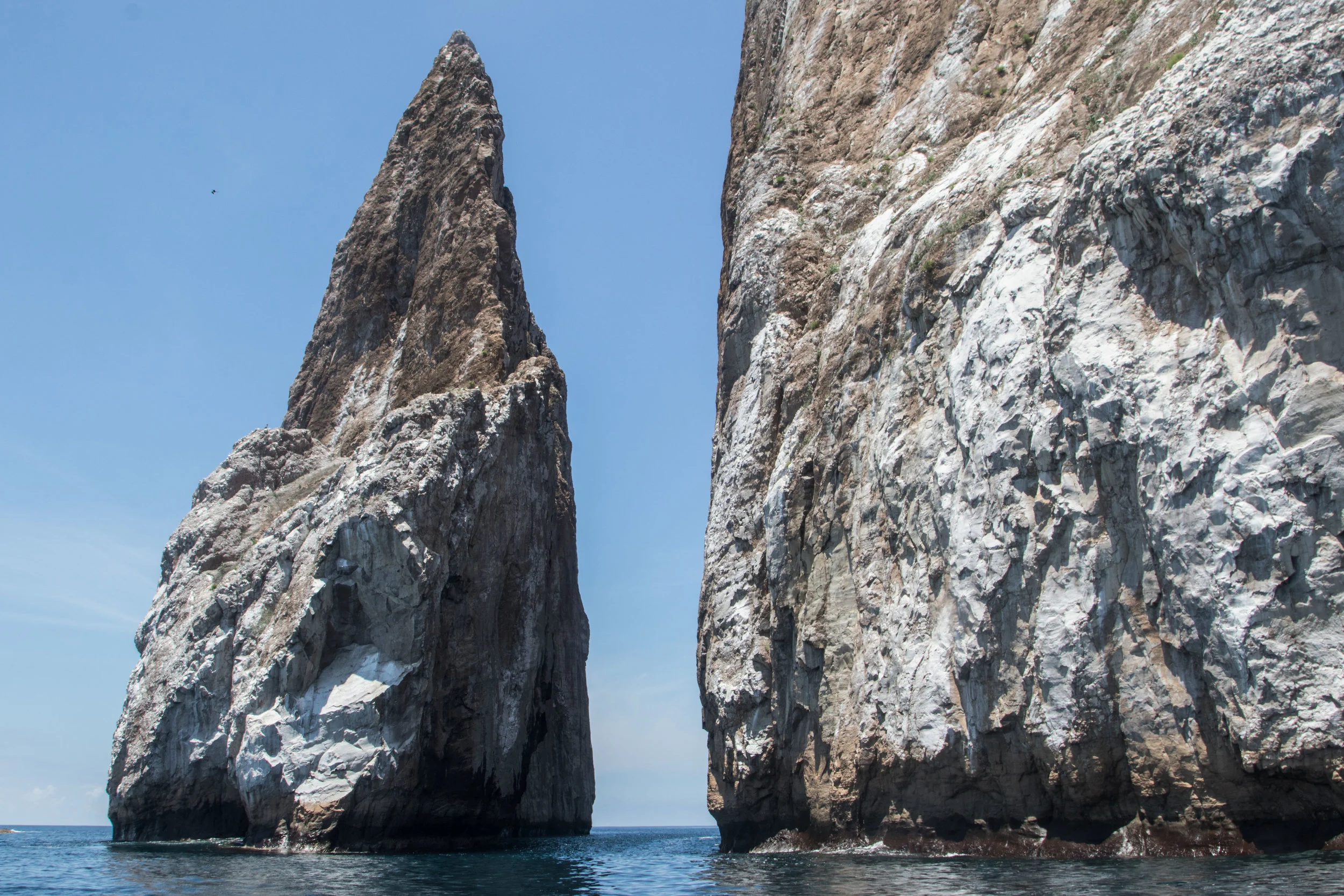 Galápagos-8042.jpg