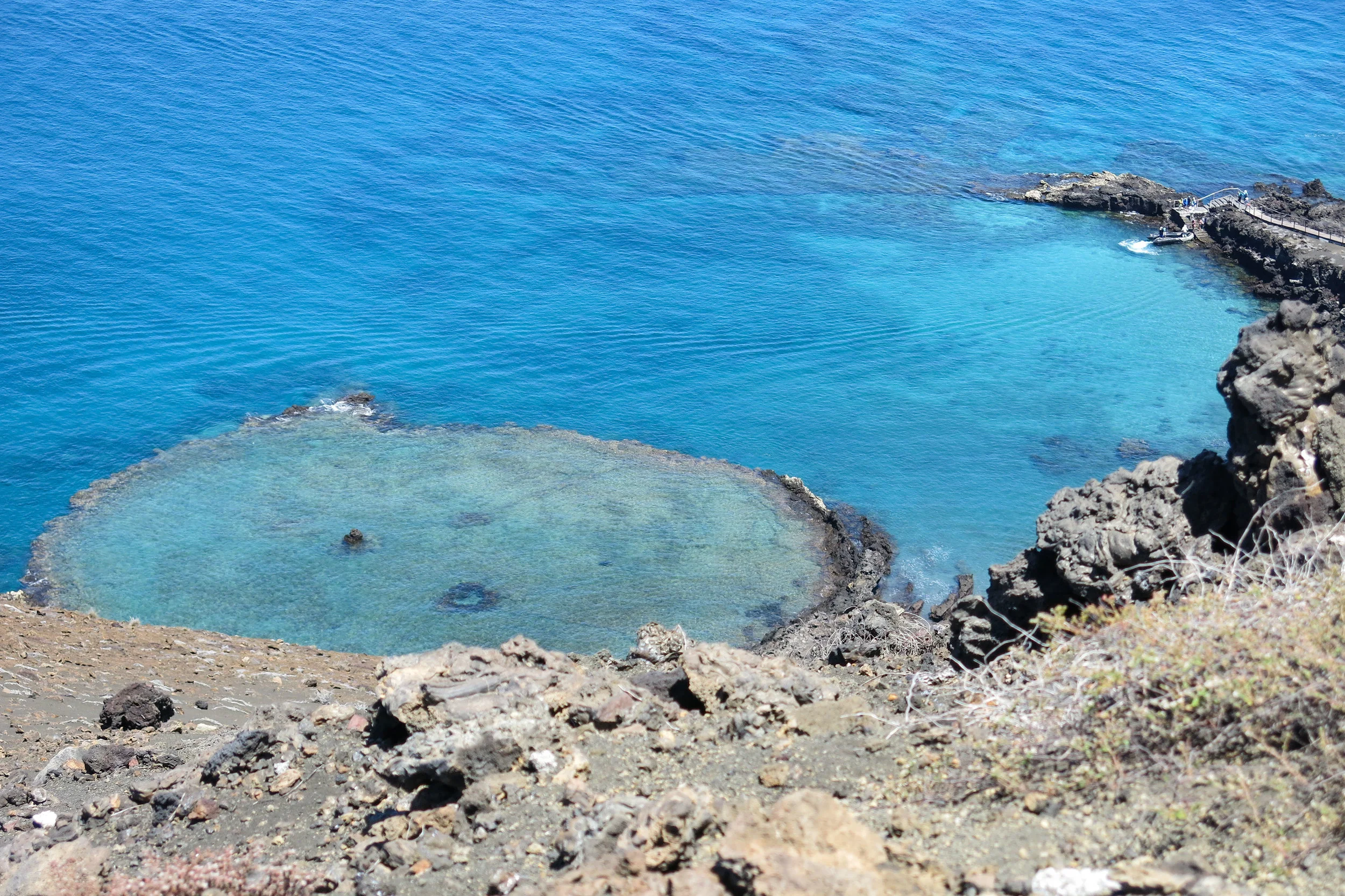 Galápagos-0381.jpg