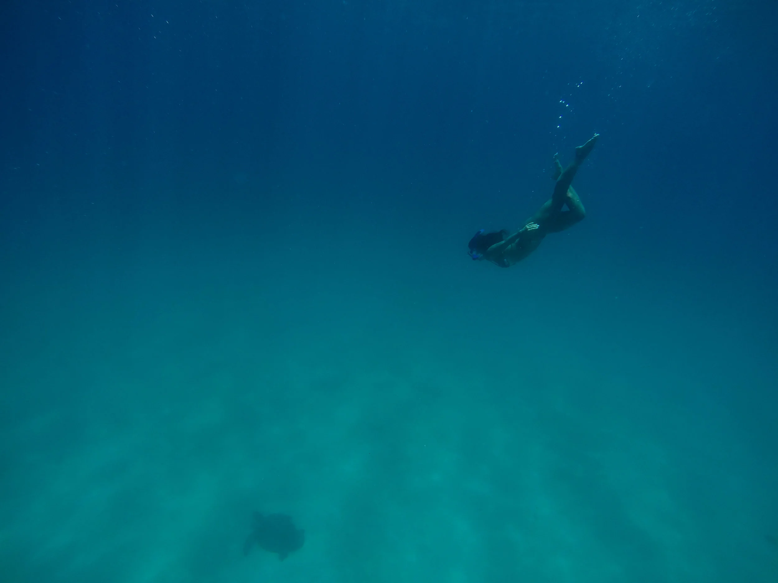 Galápagos-1094698.jpg